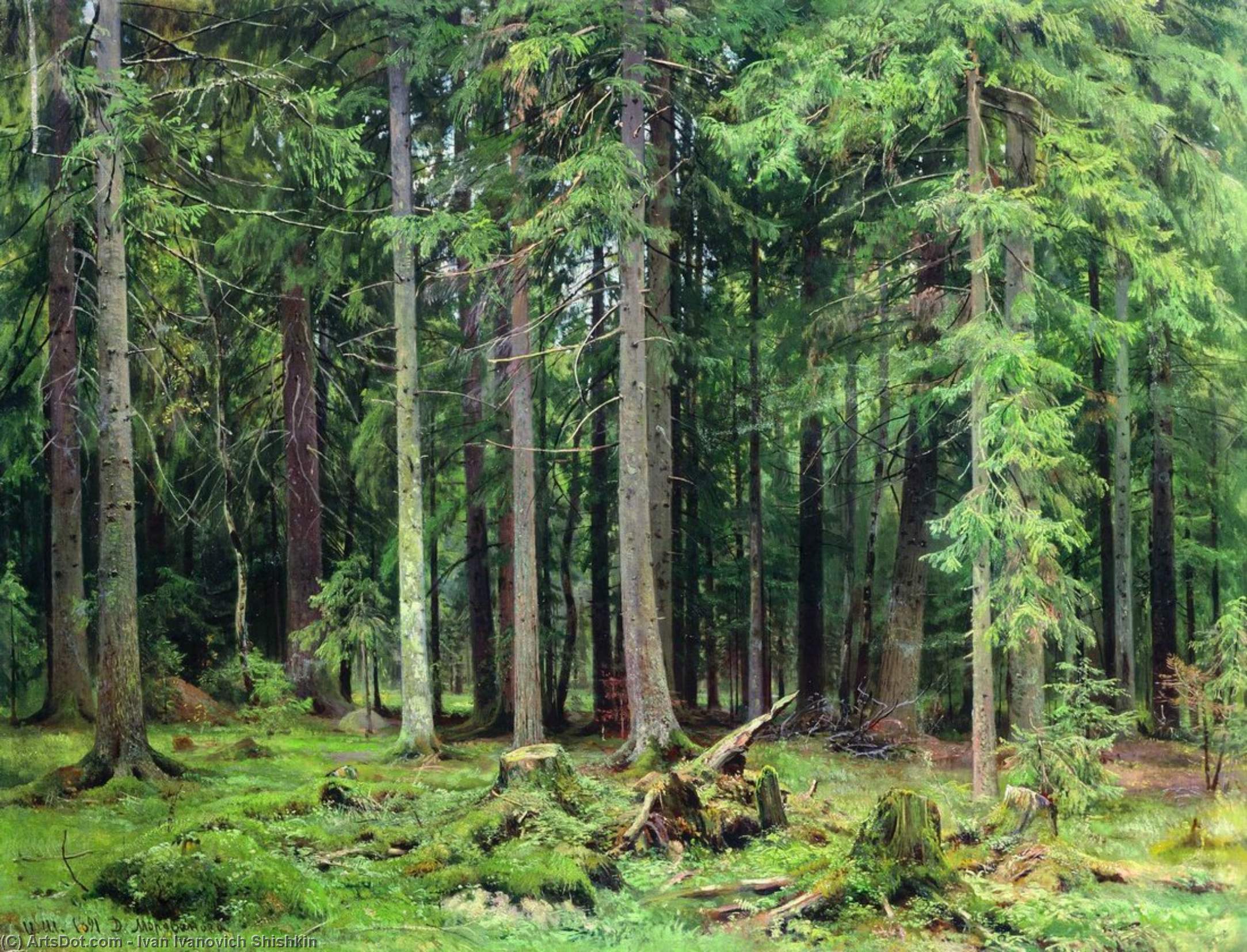 Order Artwork Replica Forest in Mordvinovo, 1891 by Ivan Ivanovich Shishkin (1832-1898, Russia) | ArtsDot.com