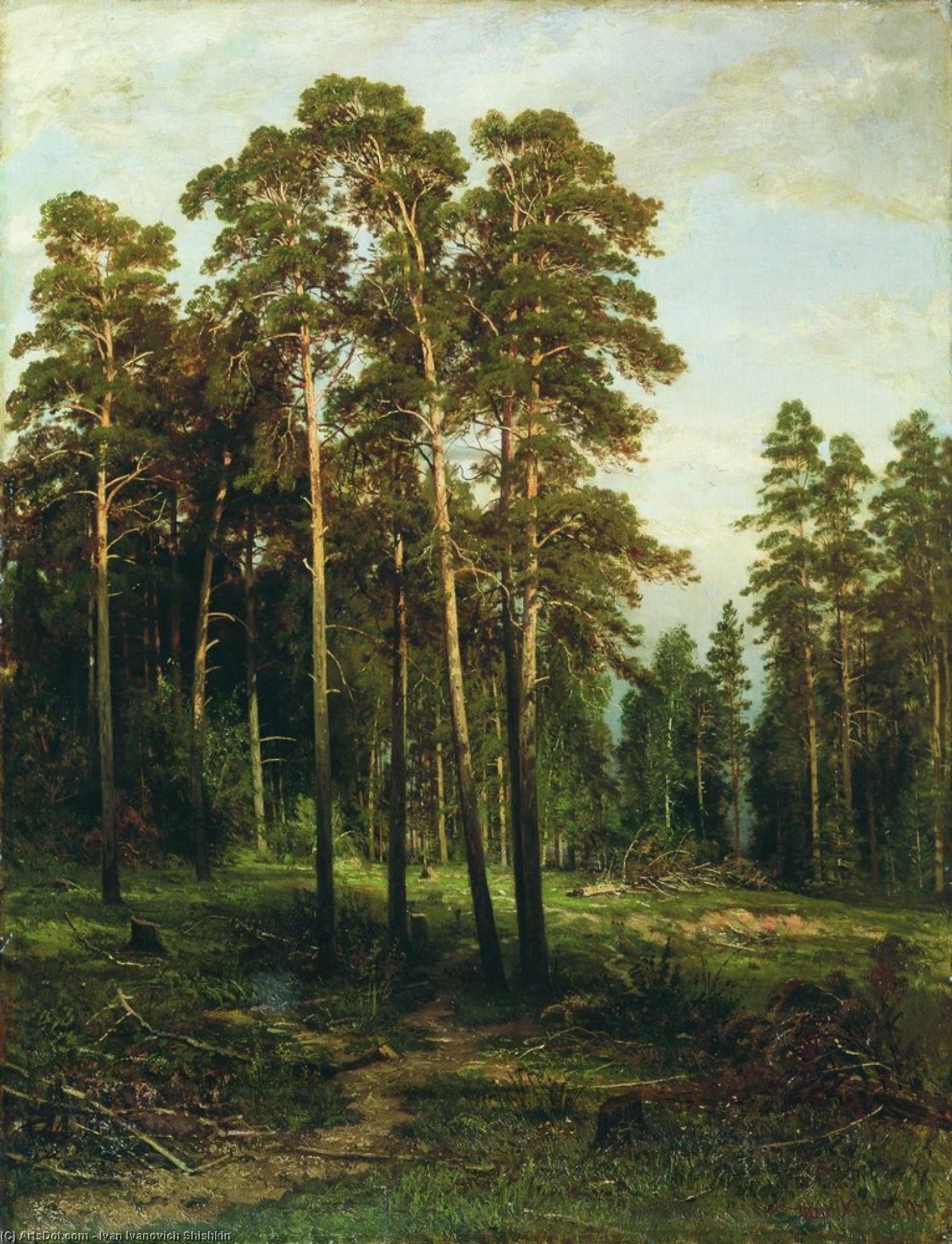 Order Oil Painting Replica Pine forest (12) by Ivan Ivanovich Shishkin (1832-1898, Russia) | ArtsDot.com