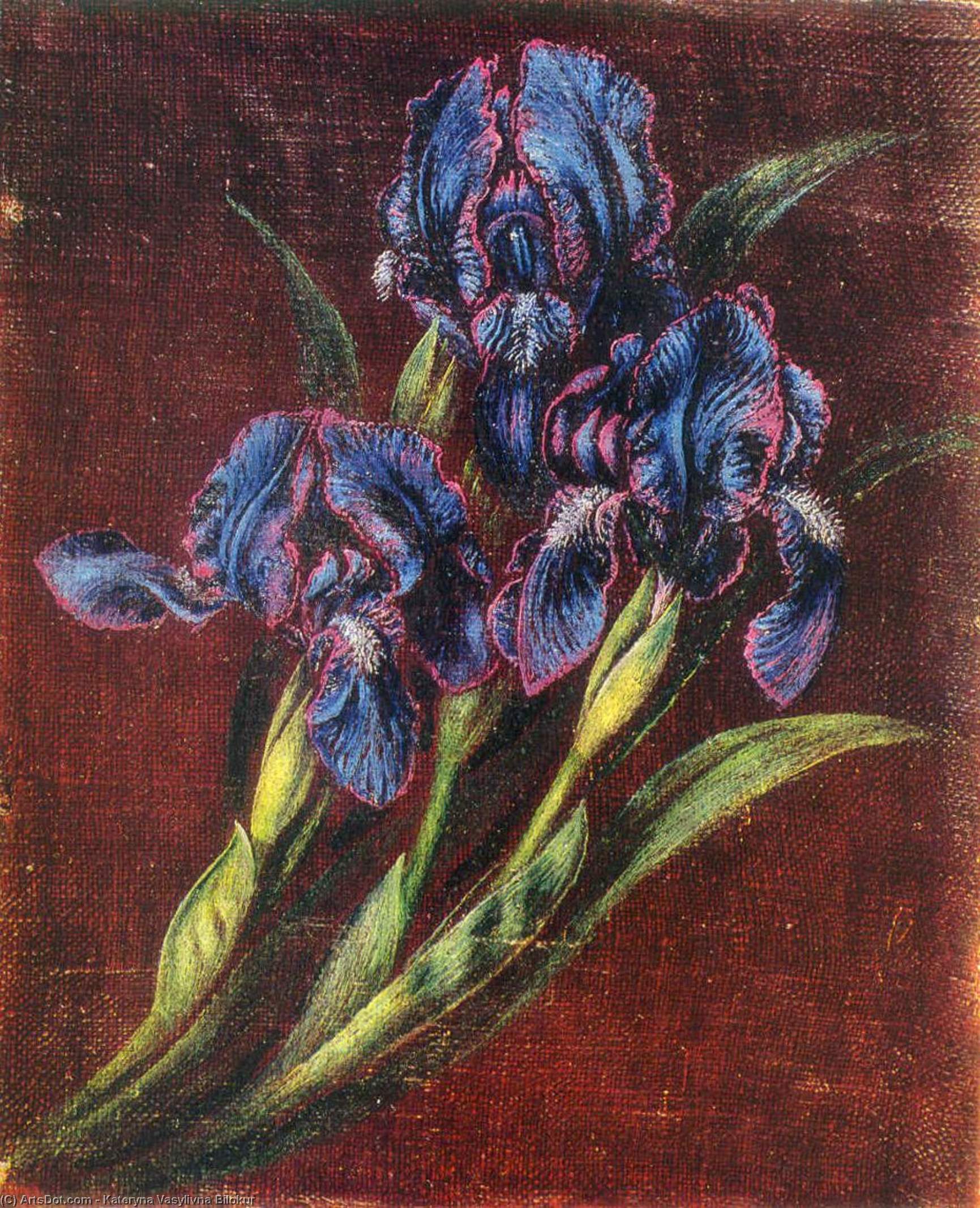 Buy Museum Art Reproductions Irises, 1950 by Kateryna Vasylivna Bilokur (Inspired By) (1900-1961, Ukraine) | ArtsDot.com