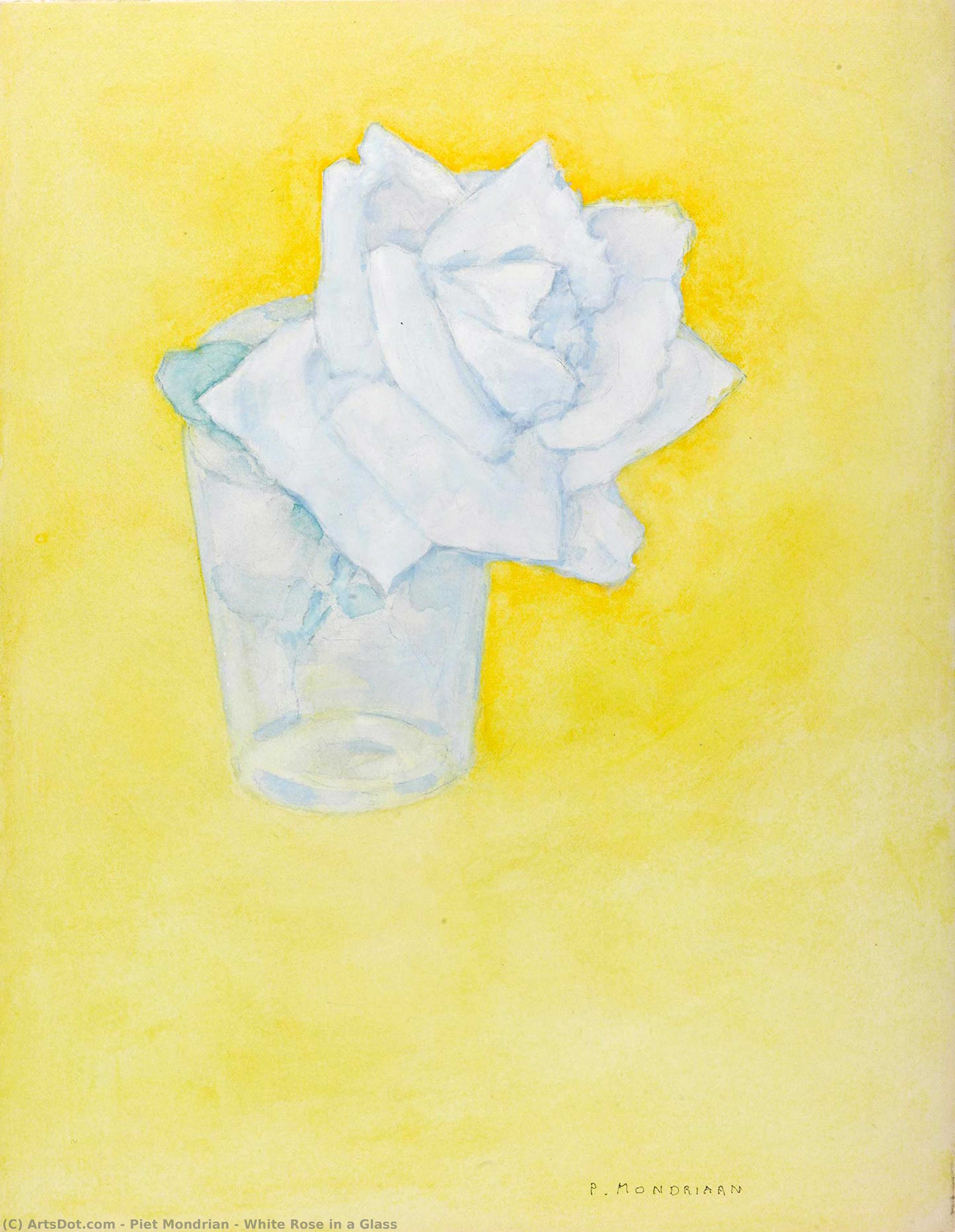 Order Oil Painting Replica White Rose in a Glass, 1921 by Piet Mondrian (1872-1944, Netherlands) | ArtsDot.com