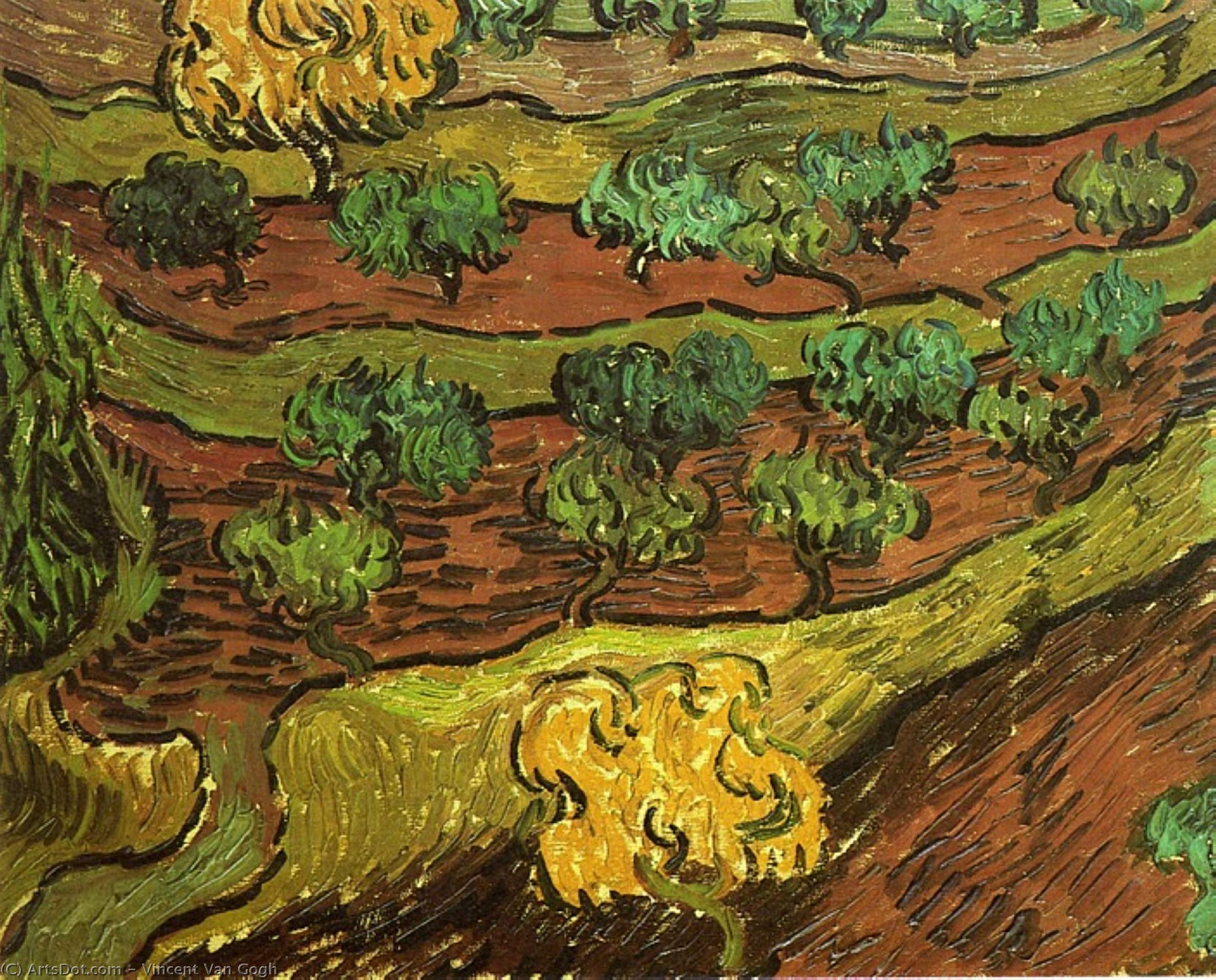 Order Oil Painting Replica Olive Trees against a Slope of a Hill, 1889 by Vincent Van Gogh (1853-1890, Netherlands) | ArtsDot.com