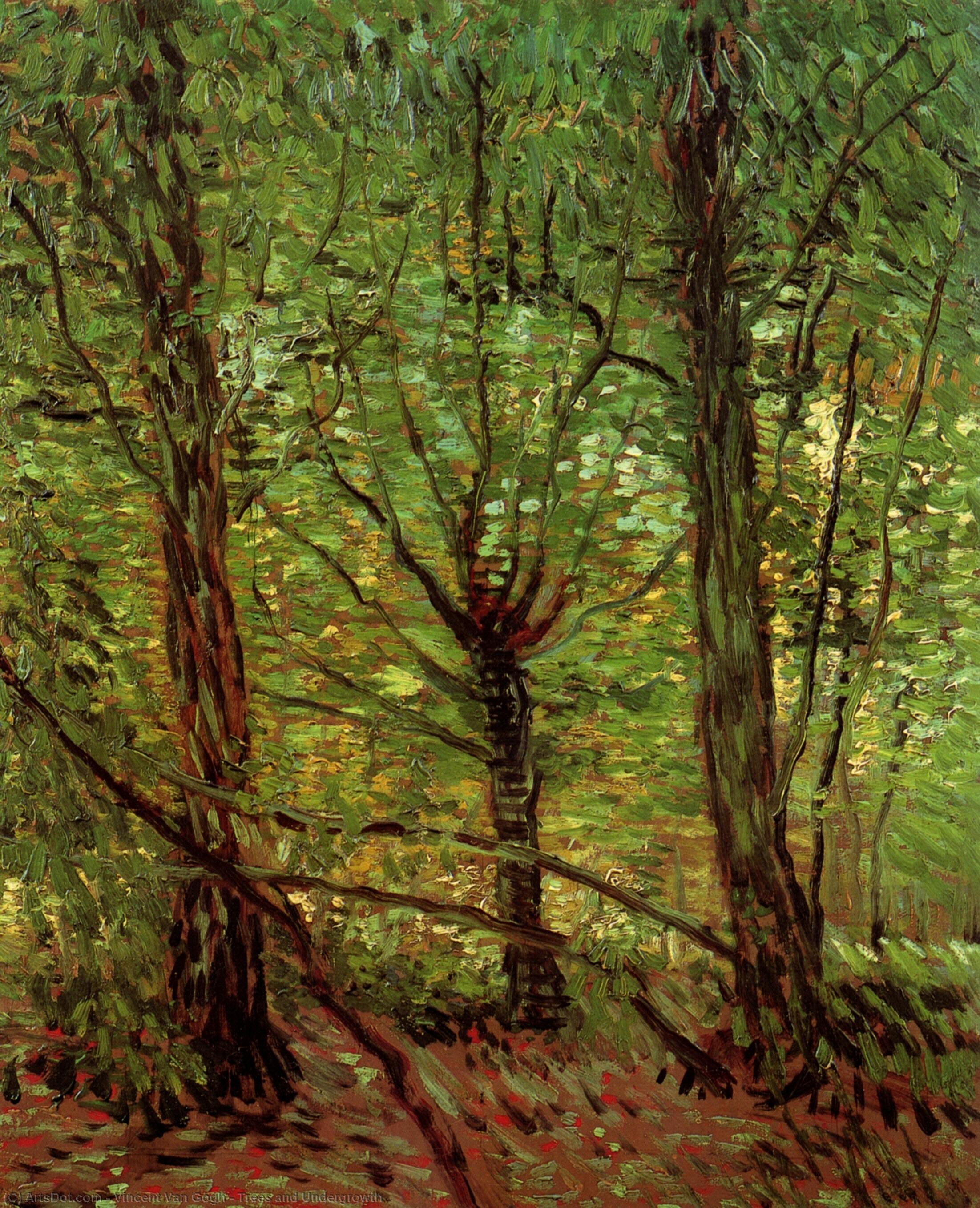 Buy Museum Art Reproductions Trees and Undergrowth, 1887 by Vincent Van Gogh (1853-1890, Netherlands) | ArtsDot.com