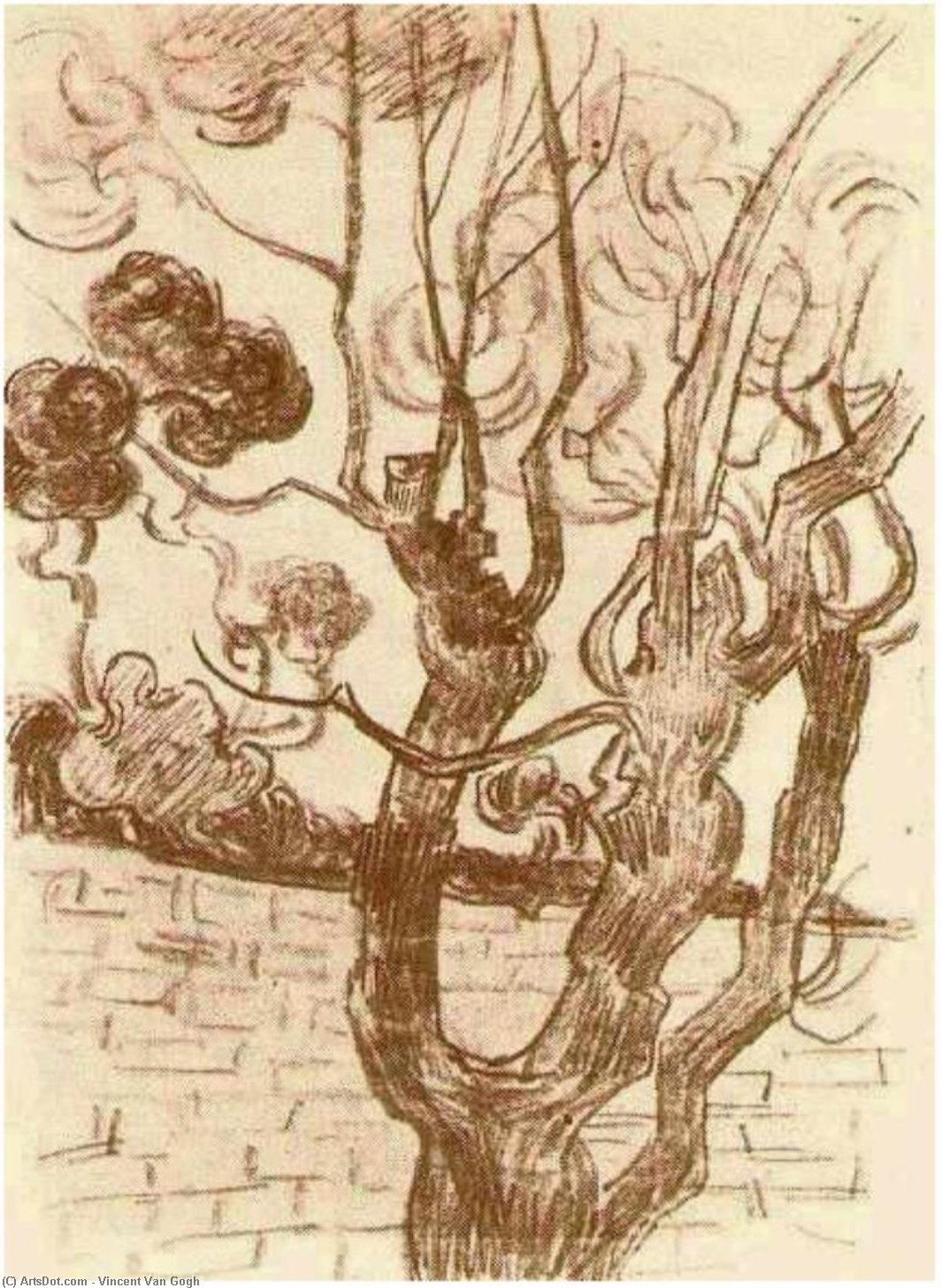 Order Art Reproductions Treetop Seen against the Wall of the Asylum, 1889 by Vincent Van Gogh (1853-1890, Netherlands) | ArtsDot.com