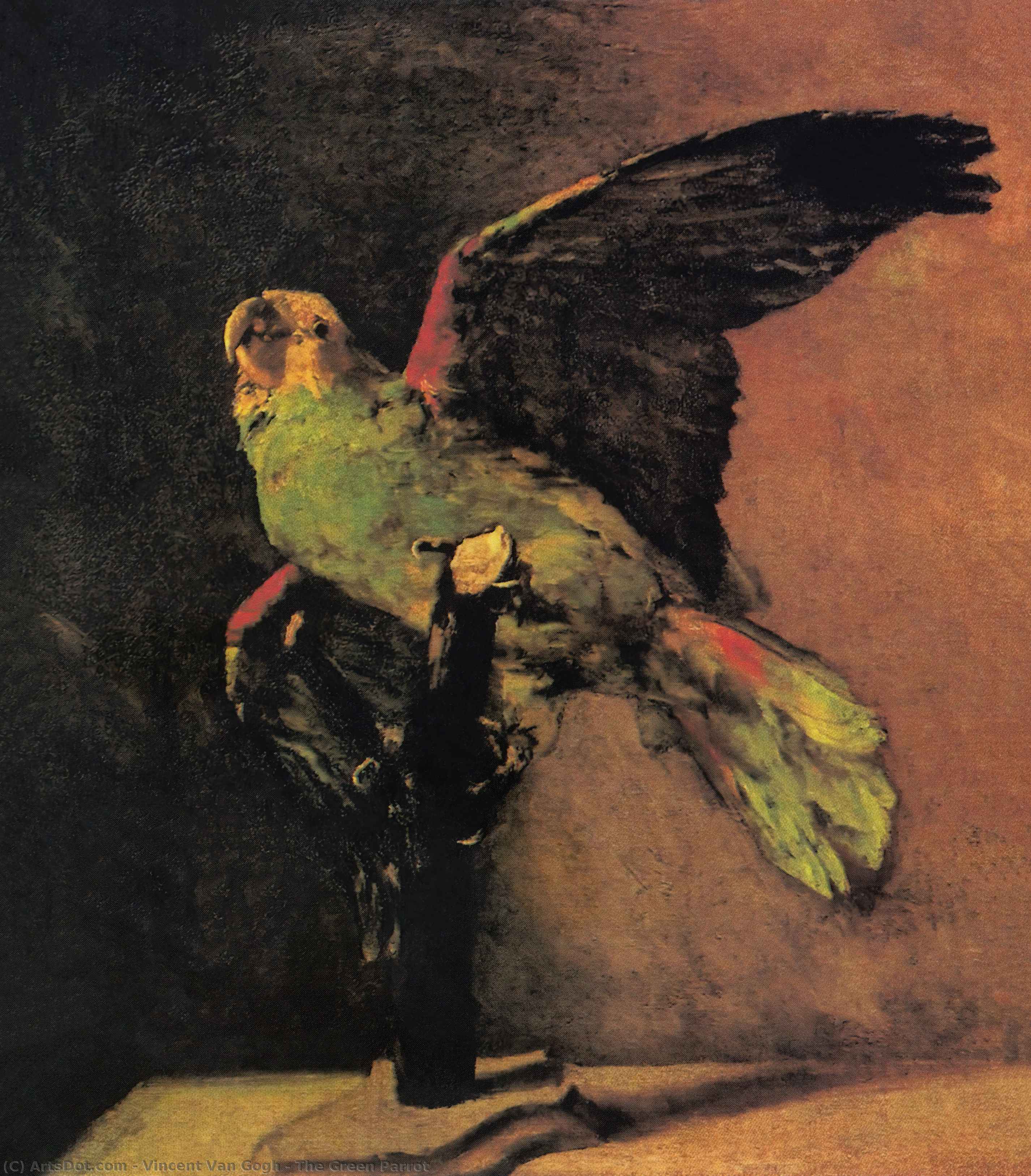 Order Artwork Replica The Green Parrot, 1886 by Vincent Van Gogh (1853-1890, Netherlands) | ArtsDot.com