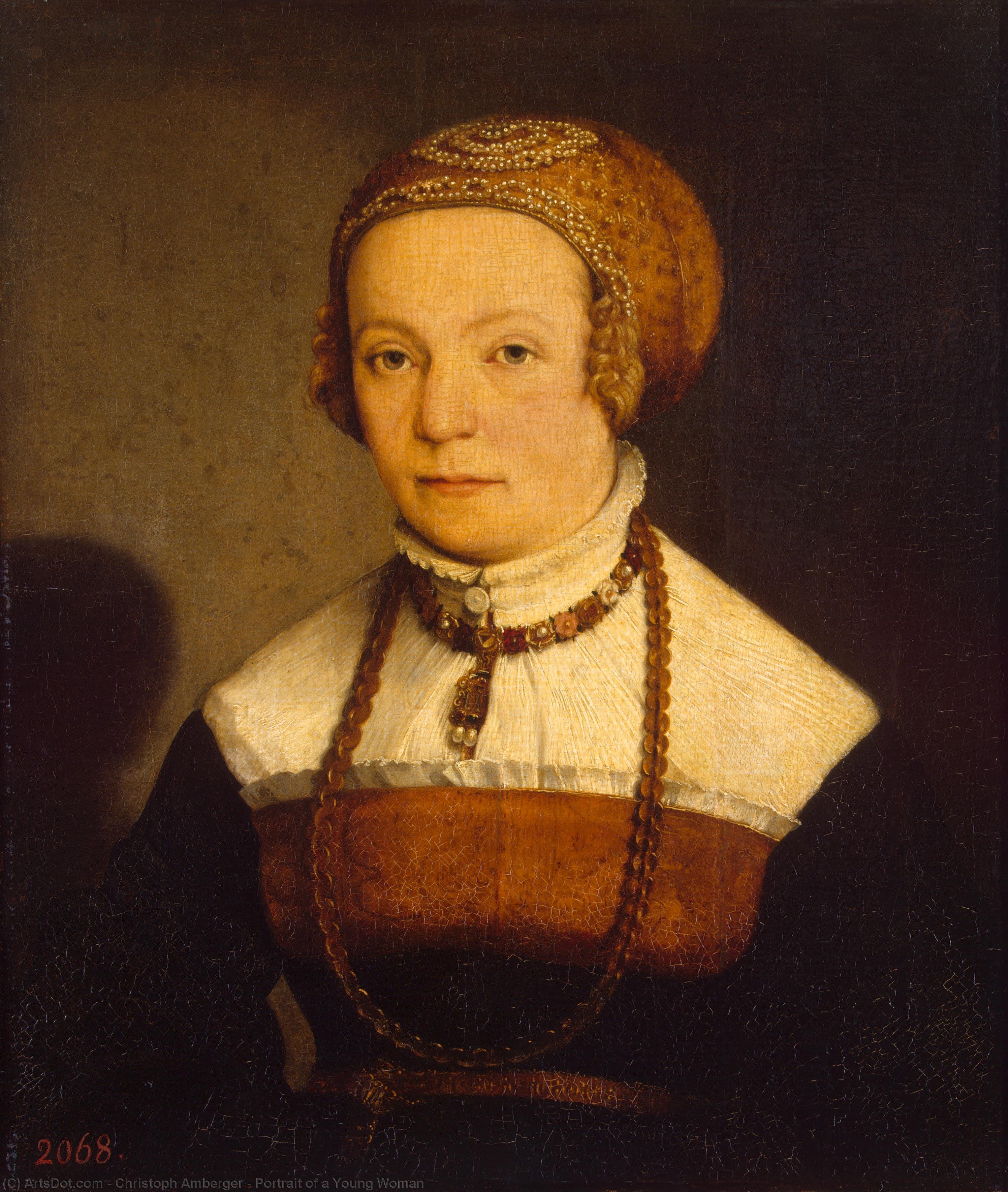 Order Paintings Reproductions Portrait of a Young Woman by Christoph Amberger (1505-1562, Germany) | ArtsDot.com