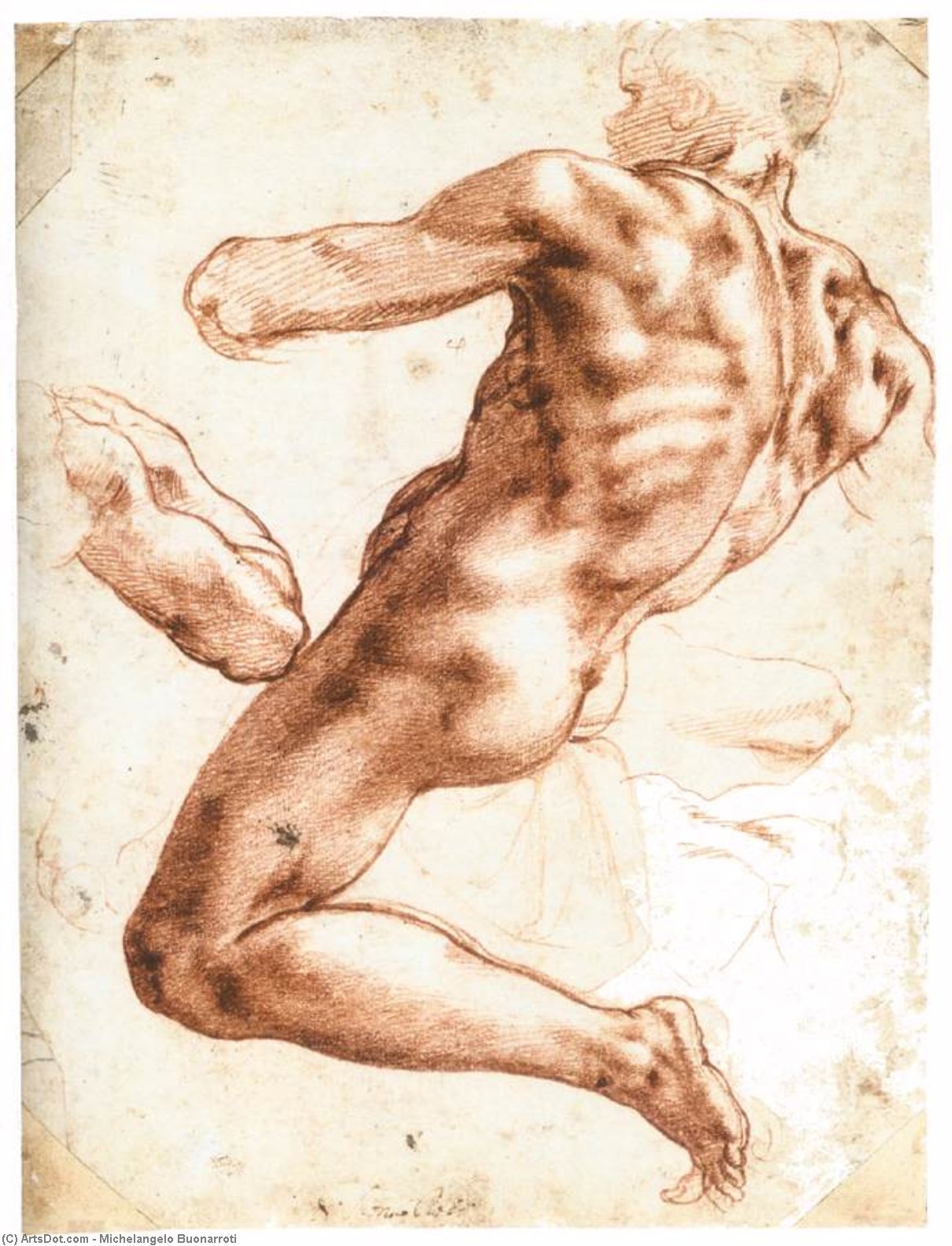 顺序 畫複製 坐男裸( recto), 1511 通过 Michelangelo Buonarroti (1475-1564, Italy) | ArtsDot.com
