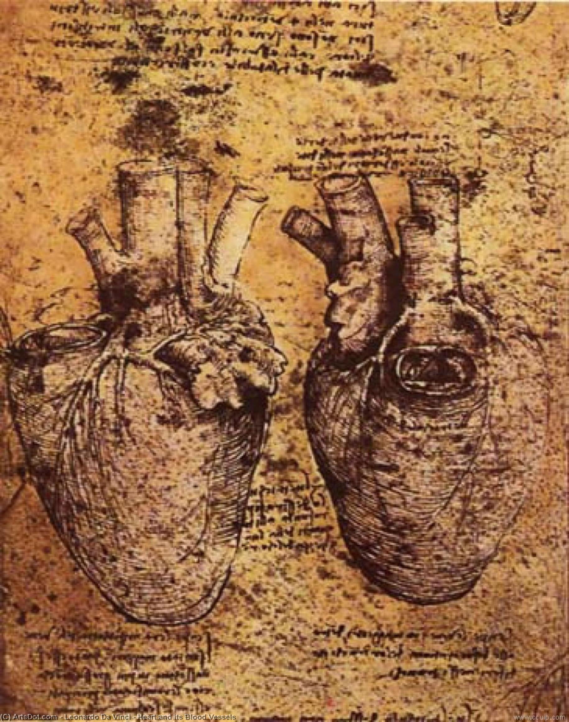 Buy Museum Art Reproductions Heart and its Blood Vessels by Leonardo Da Vinci (1452-1519, Italy) | ArtsDot.com
