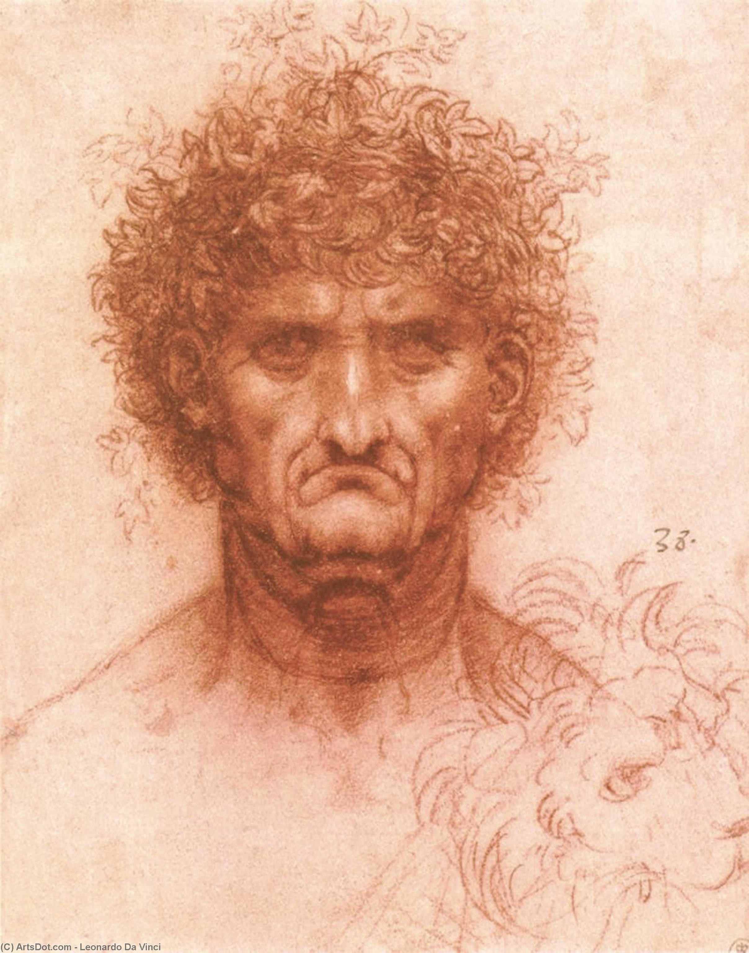 Buy Museum Art Reproductions Old man with ivy wreath and lion`s head, 1503 by Leonardo Da Vinci (1452-1519, Italy) | ArtsDot.com
