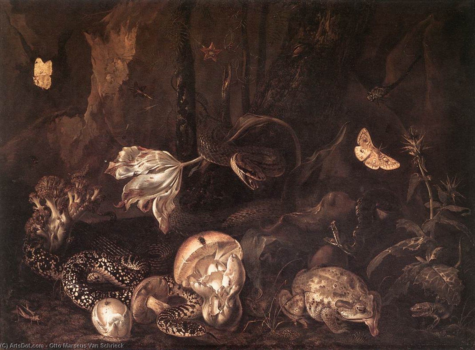 Buy Museum Art Reproductions Still-Life with Insects and Amphibians, 1662 by Otto Marseus Van Schrieck (1620-1678, Netherlands) | ArtsDot.com