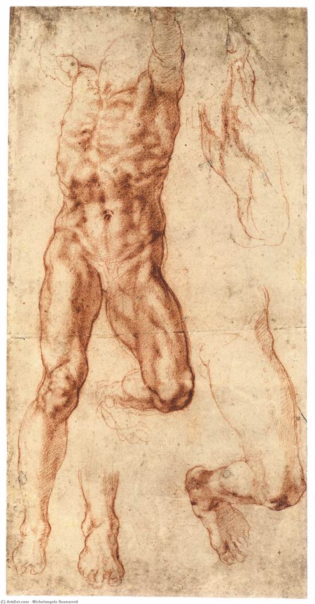 Order Paintings Reproductions Four Studies for the Crucified Haman (recto), 1512 by Michelangelo Buonarroti (1475-1564, Italy) | ArtsDot.com