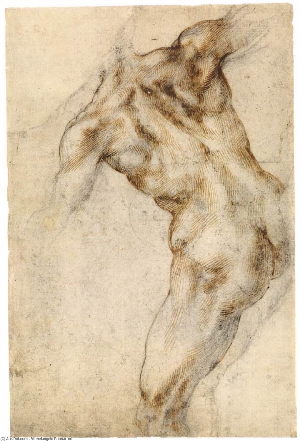 购买 博物馆艺术复制品，艺术复制品，绘画复制品，博物馆质量版画，美术复制品，着名绘画复制品，博物馆品质复制品，帆布艺术版画 Male Nude, Seen from the Rear (recto), 1503 通过 Michelangelo Buonarroti (1475-1564, Italy) | ArtsDot.com
