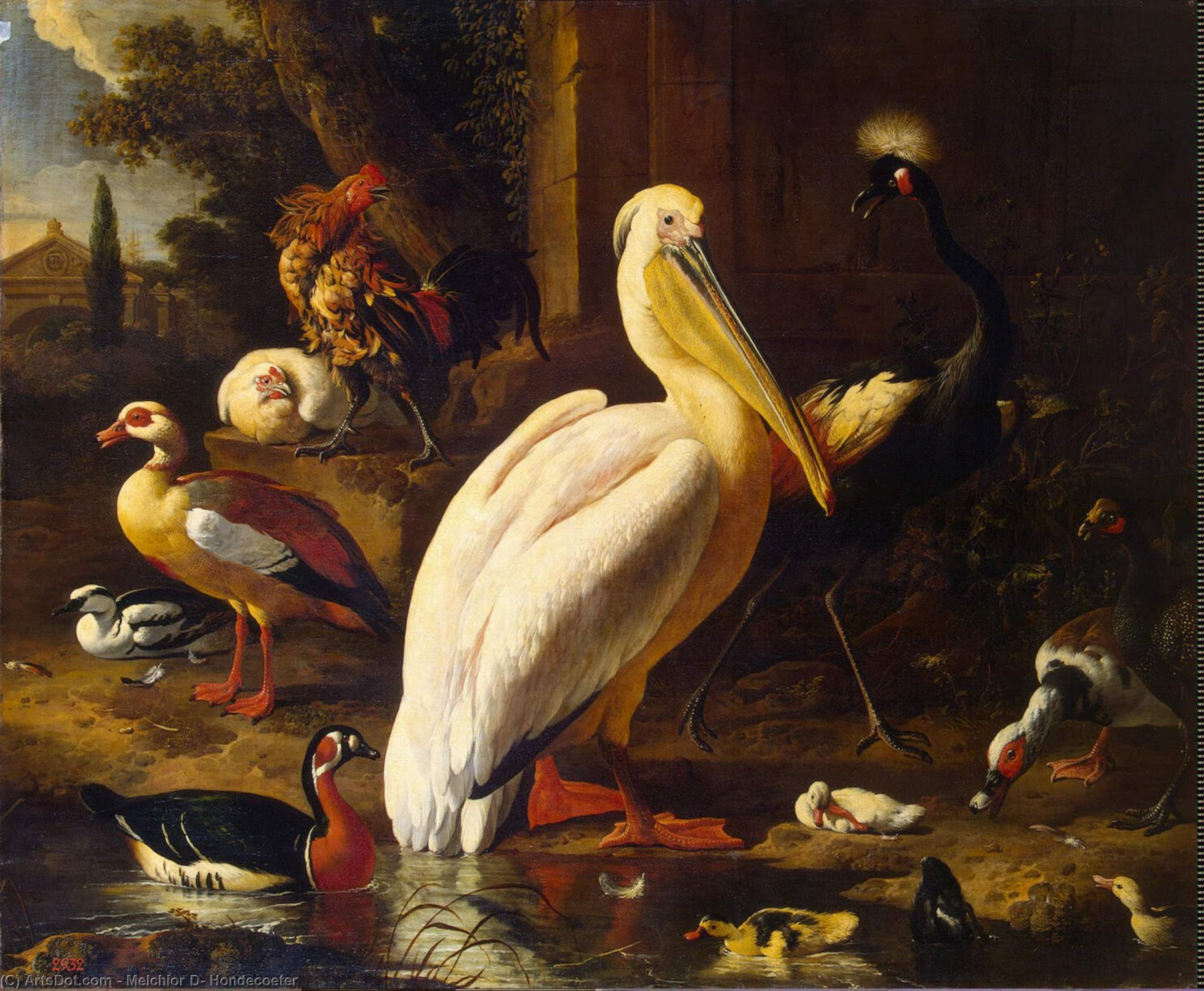 Order Paintings Reproductions Birds in a Park, 1686 by Melchior De Hondecoeter | ArtsDot.com