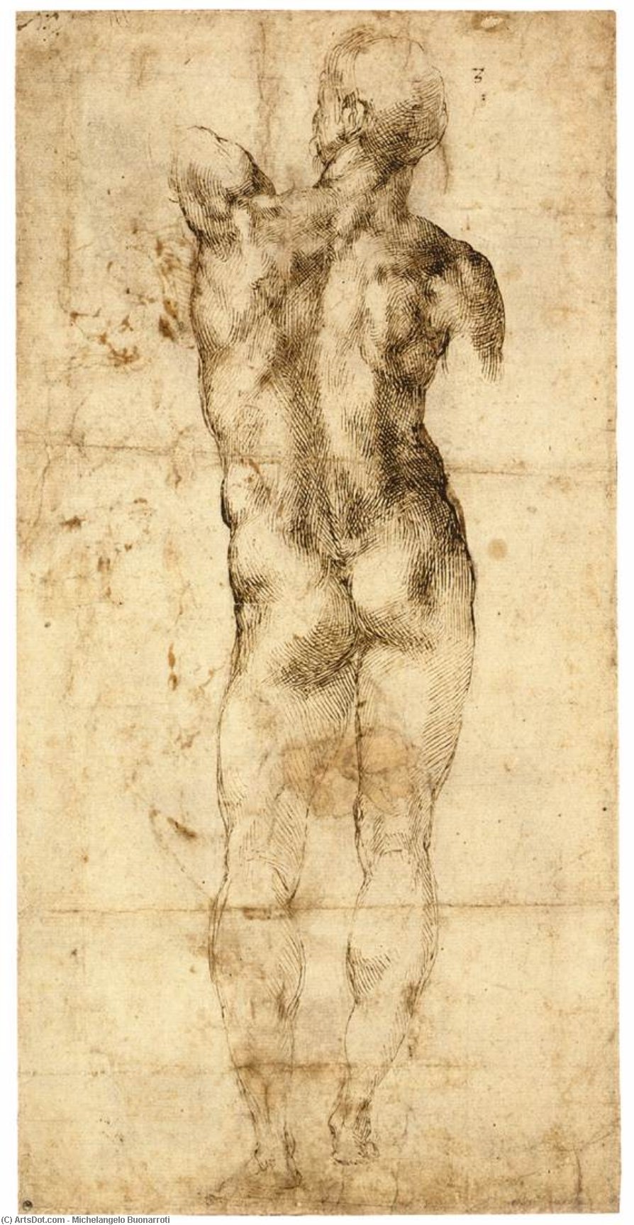 Buy Museum Art Reproductions Standing Male Nude, Seen from the Rear (recto), 1503 by Michelangelo Buonarroti (1475-1564, Italy) | ArtsDot.com