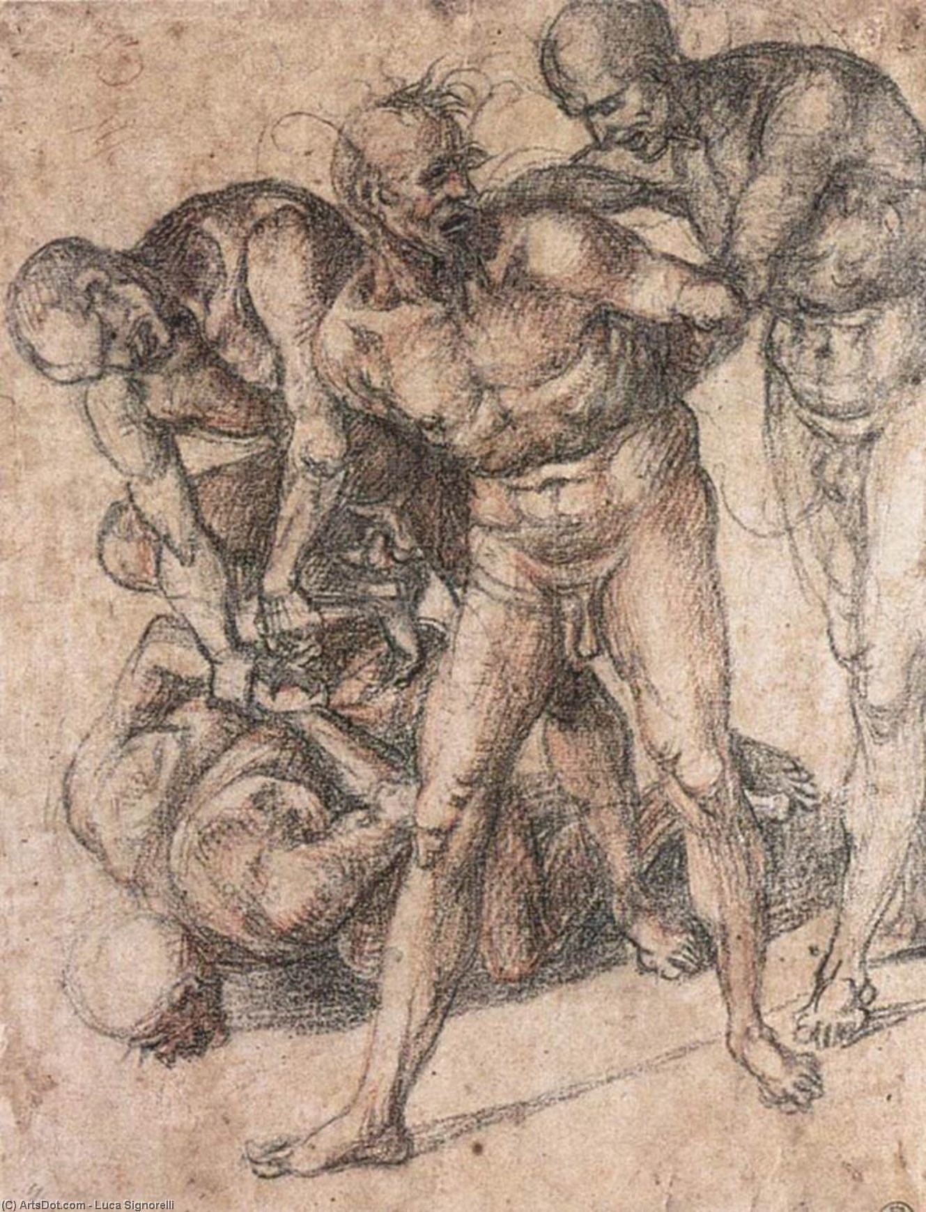 Order Paintings Reproductions Study of nudes, 1500 by Luca Signorelli (1450-1523, Italy) | ArtsDot.com