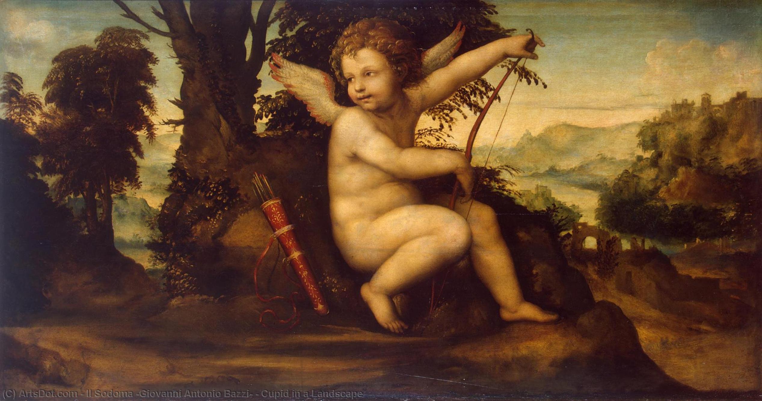 Buy Museum Art Reproductions Cupid in a Landscape, 1510 by Il Sodoma (Giovanni Antonio Bazzi) (1447-1549, Italy) | ArtsDot.com