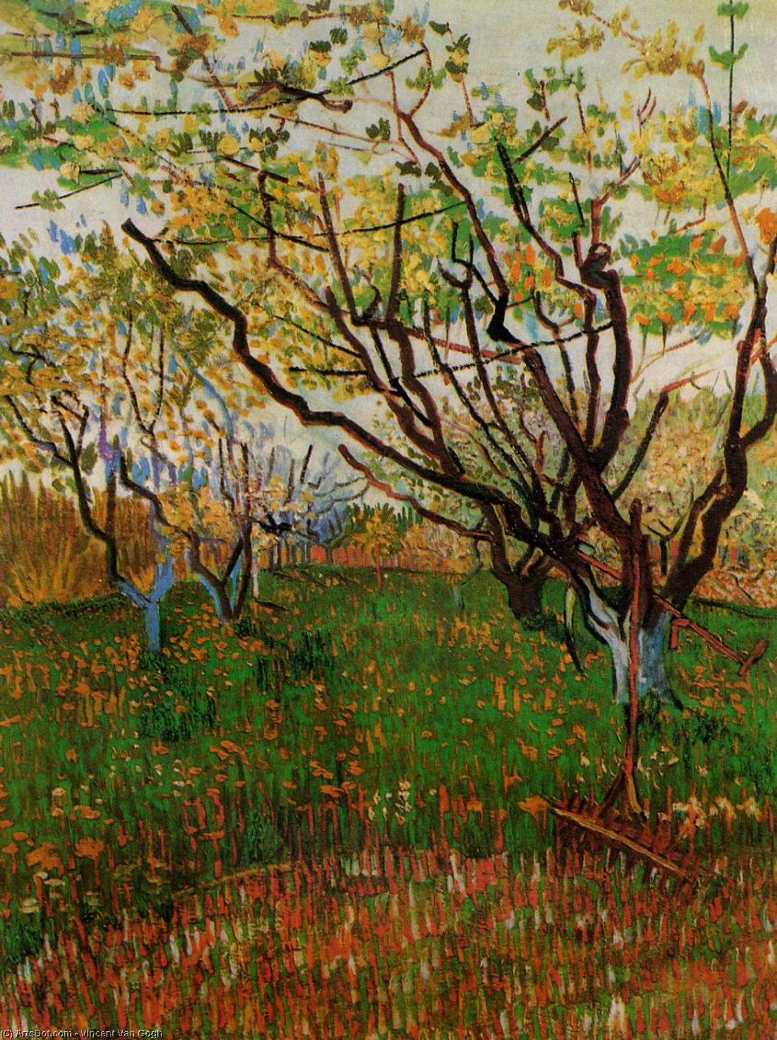 Order Art Reproductions Orchard in Bloom, 1888 by Vincent Van Gogh (1853-1890, Netherlands) | ArtsDot.com