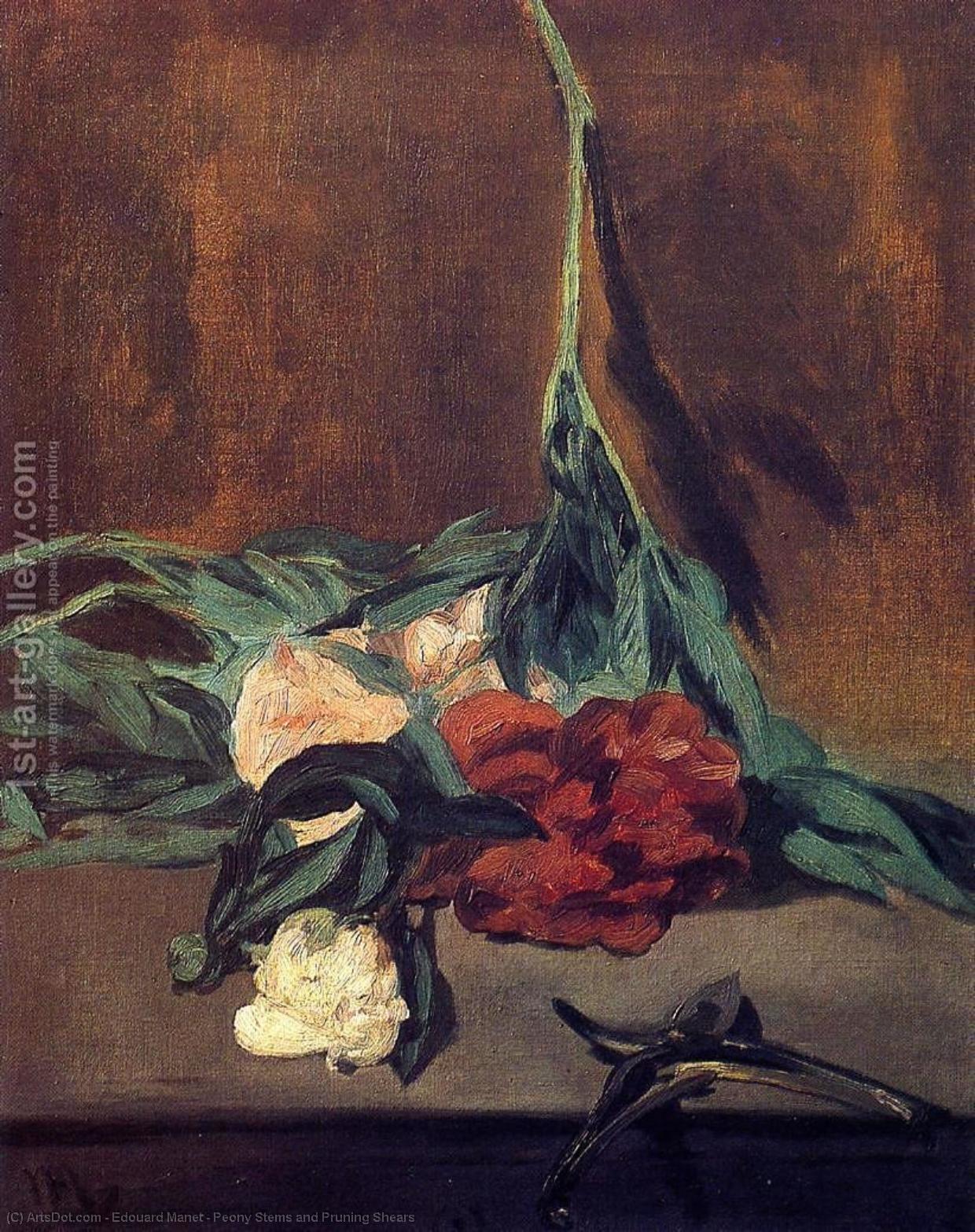 Buy Museum Art Reproductions Peony Stems and Pruning Shears, 1864 by Edouard Manet (1832-1883, France) | ArtsDot.com