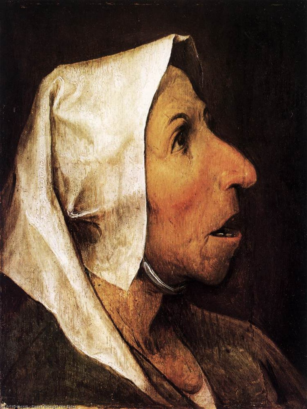 Order Oil Painting Replica Portrait of an Old Woman, 1563 by Pieter Bruegel The Elder (1525-1569, Belgium) | ArtsDot.com