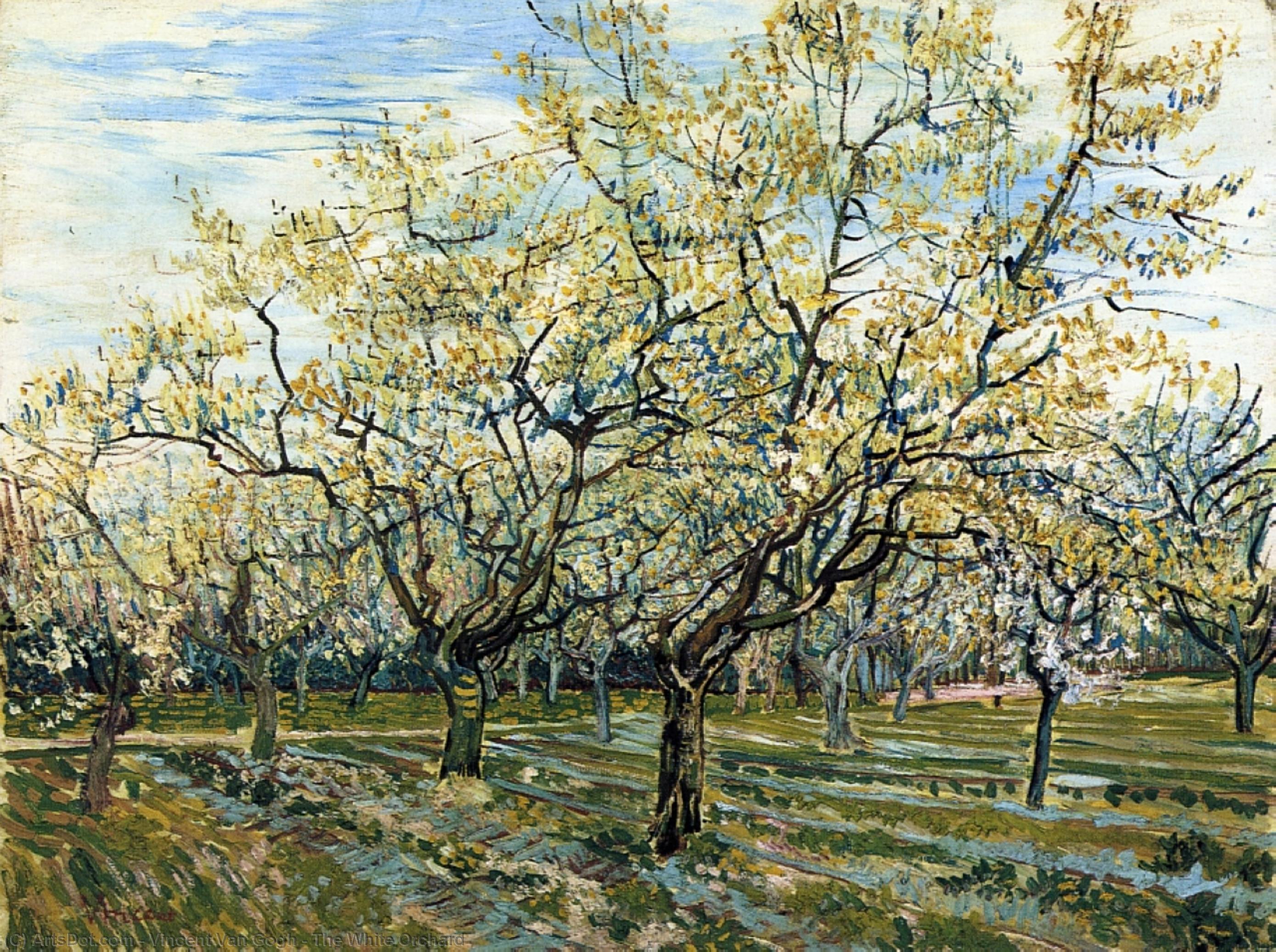 Order Artwork Replica The White Orchard, 1888 by Vincent Van Gogh (1853-1890, Netherlands) | ArtsDot.com