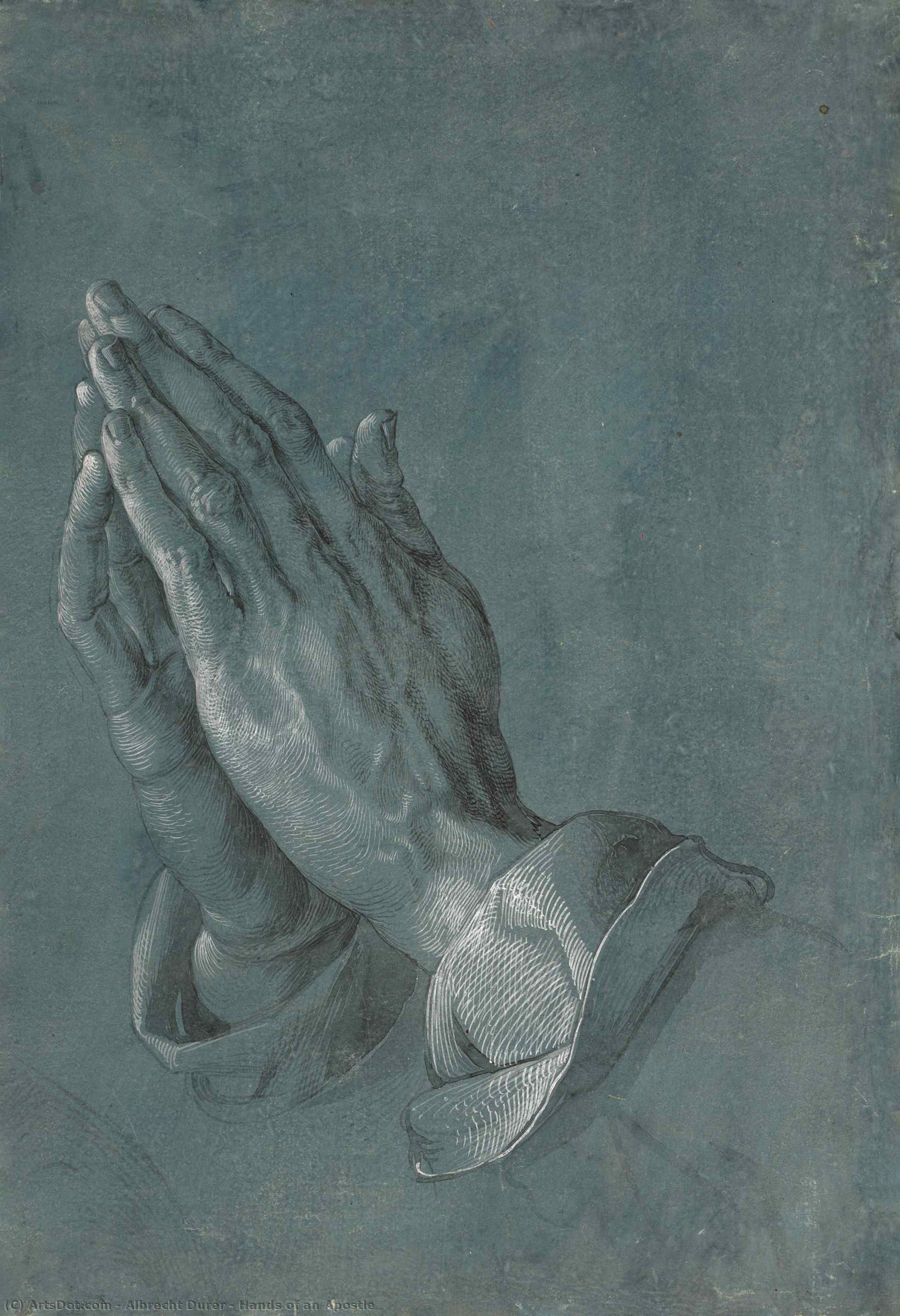 Order Oil Painting Replica Hands of an Apostle, 1508 by Albrecht Durer (1471-1528, Italy) | ArtsDot.com