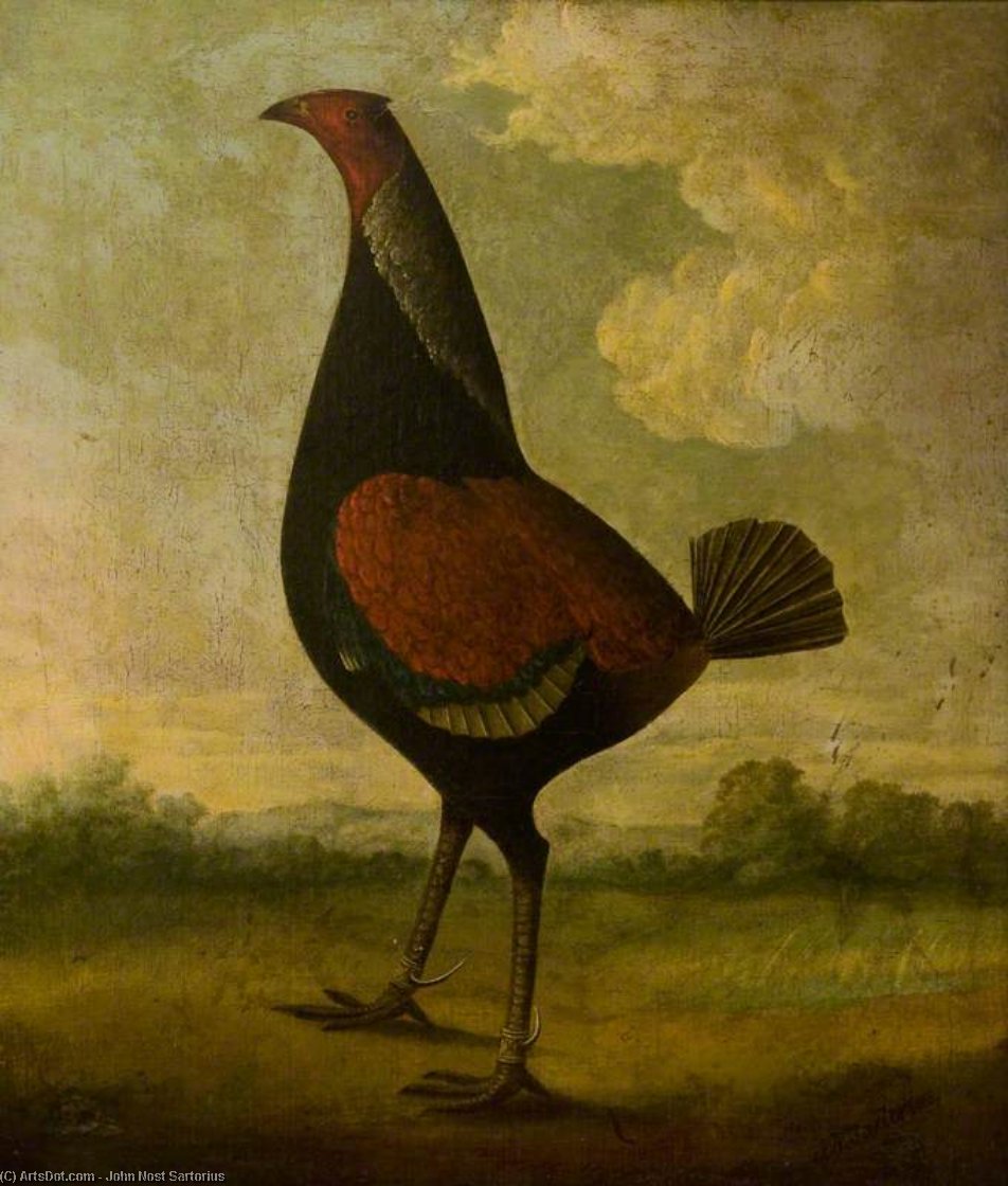 Order Artwork Replica A Fighting Cock In A Landscape by John Nost Sartorius (1759-1828, United Kingdom) | ArtsDot.com