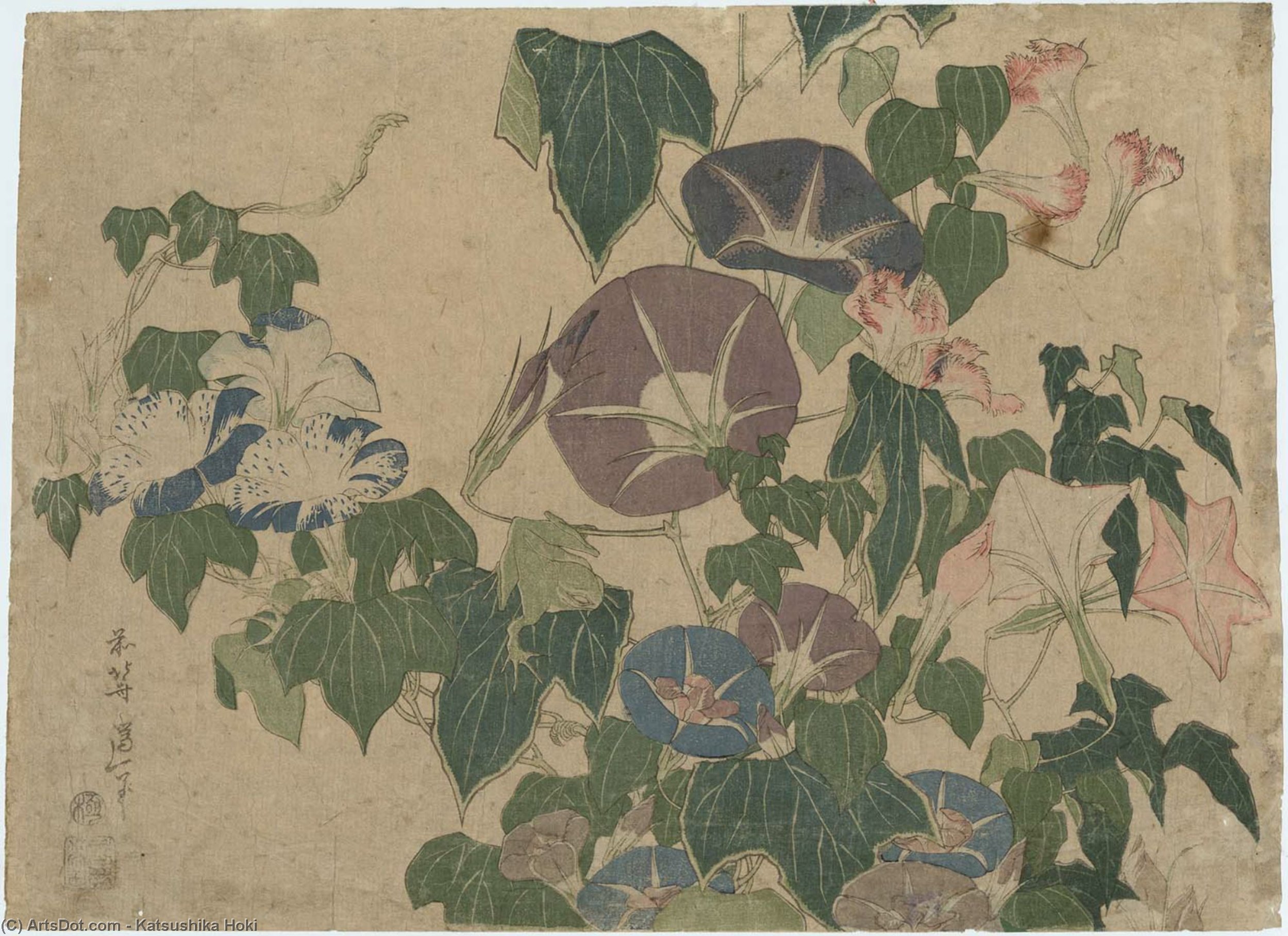 Order Art Reproductions Morning Glories And Tree Frog by Katsushika Hokusai (1760-1849, Japan) | ArtsDot.com