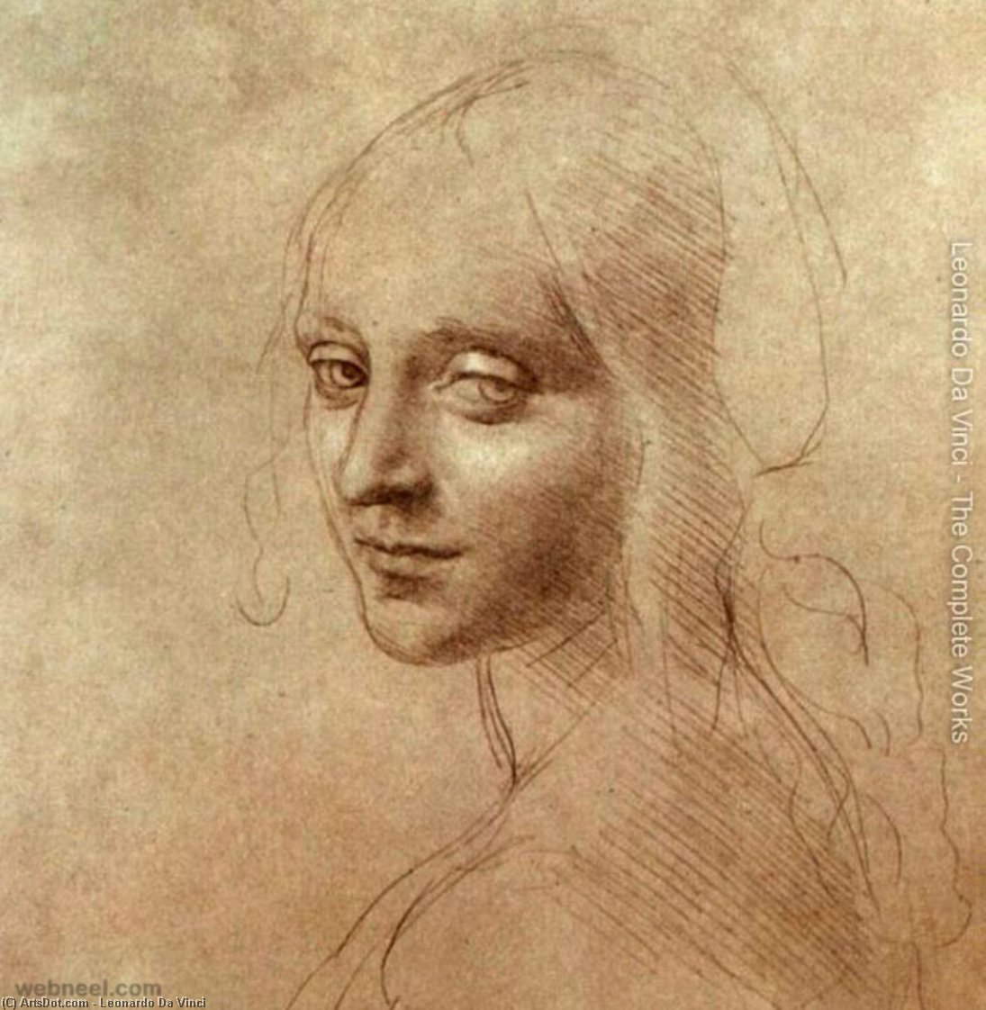 Order Oil Painting Replica Drawing of the face of the angel from The Virgin of the Rocks by Leonardo Da Vinci (1452-1519, Italy) | ArtsDot.com