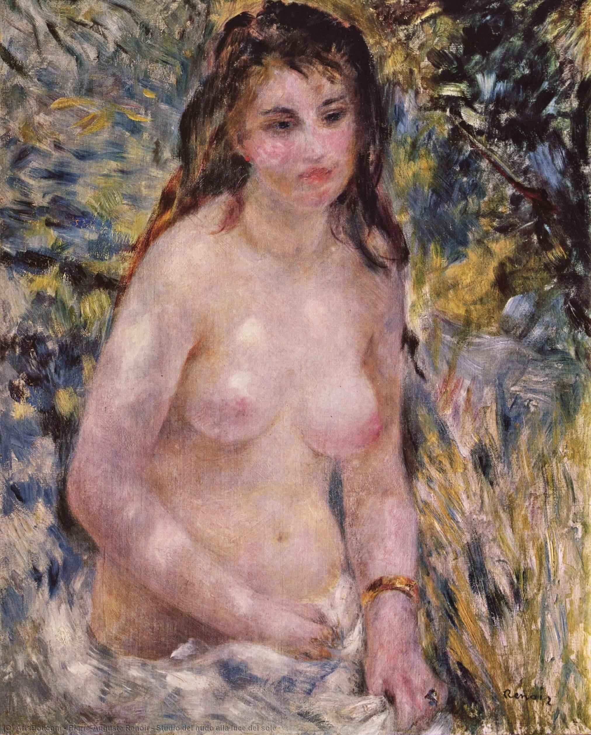 Order Art Reproductions Studio del nudo alla luce del sole by Pierre-Auguste Renoir (1841-1919, France) | ArtsDot.com