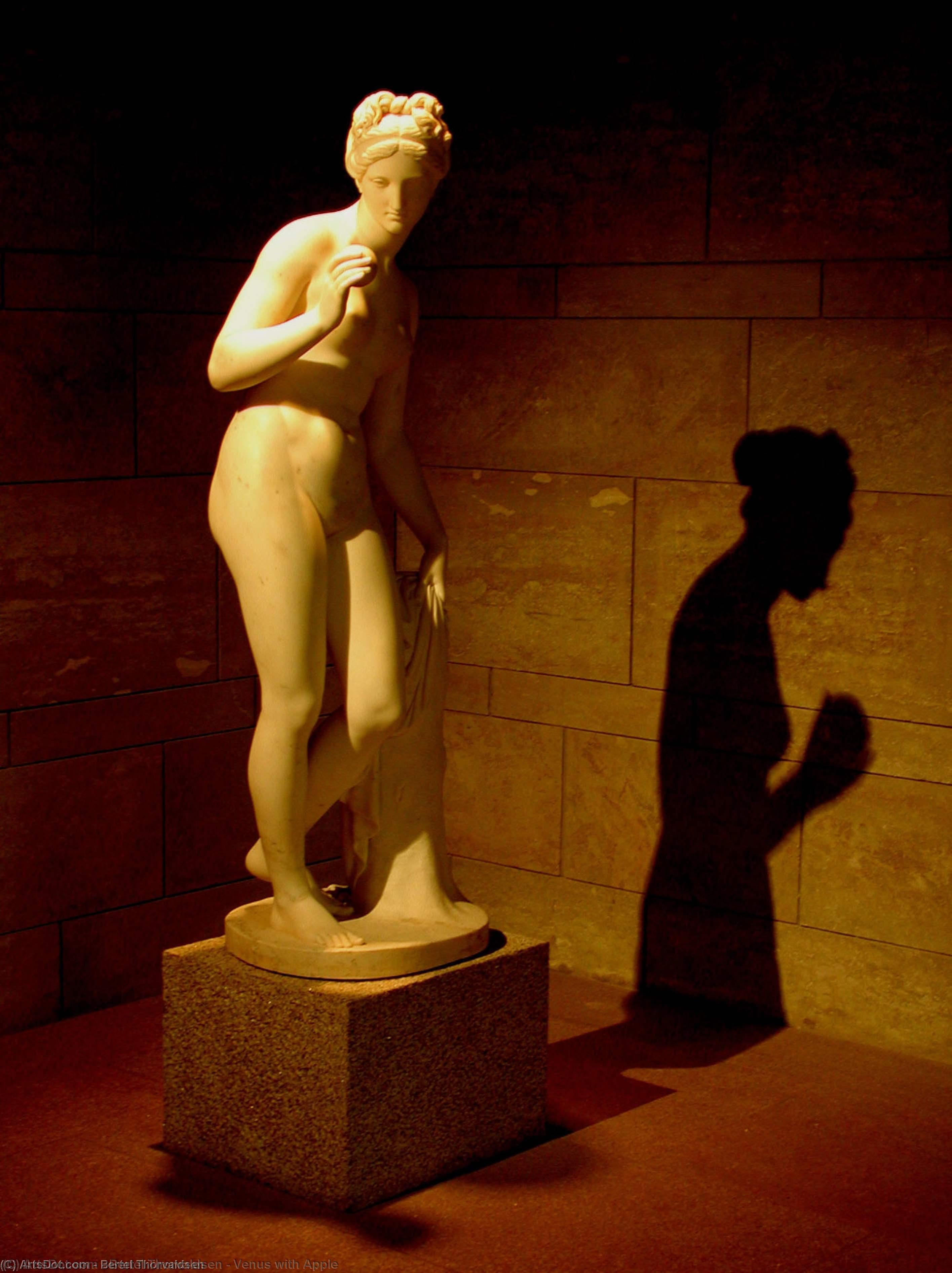 Buy Museum Art Reproductions Venus with Apple by Bertel Thorvaldsen (1770-1844, Denmark) | ArtsDot.com