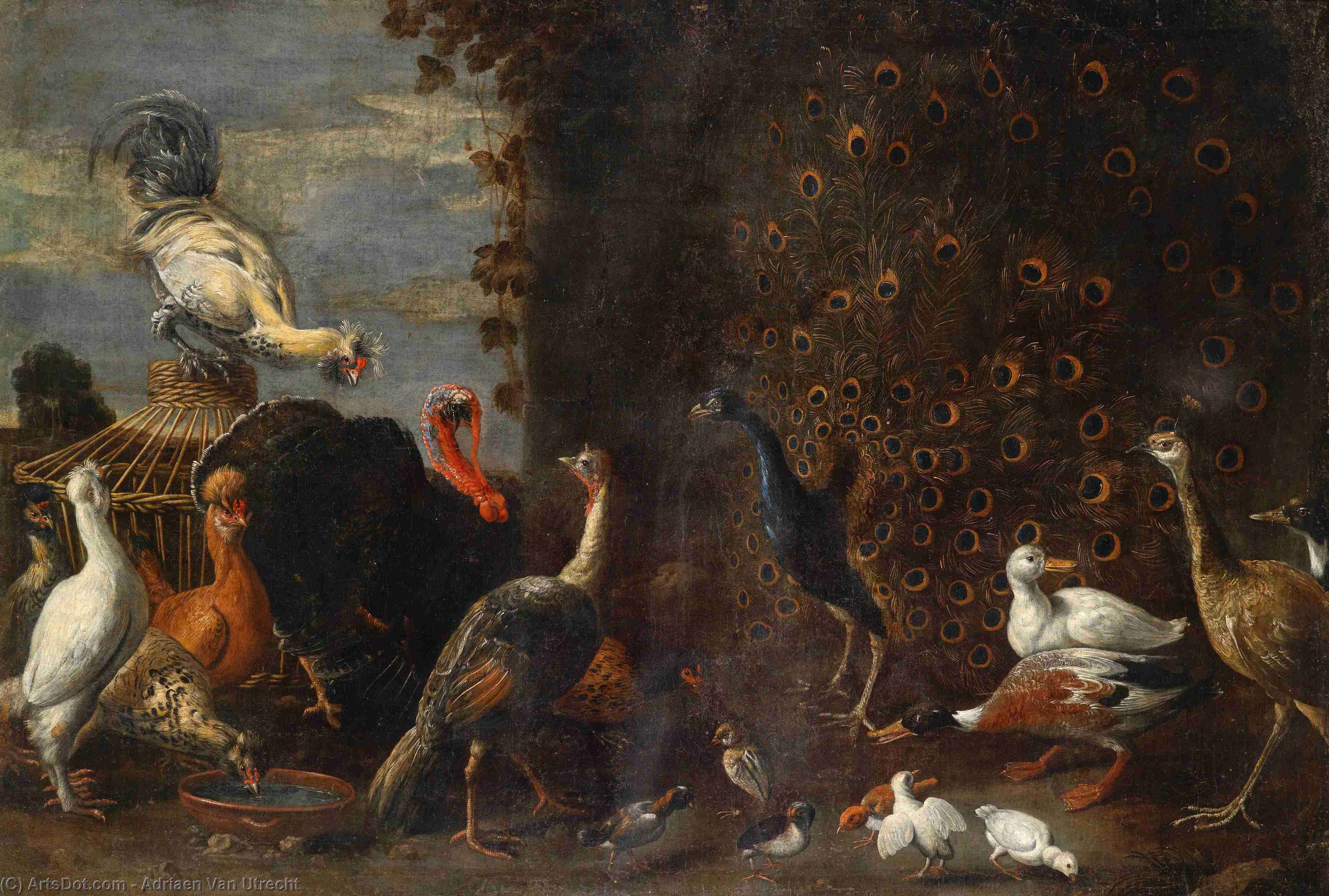 Order Paintings Reproductions Chicken run with peacock turkey and duck by Adriaen Van Utrecht (1599-1652, Belgium) | ArtsDot.com