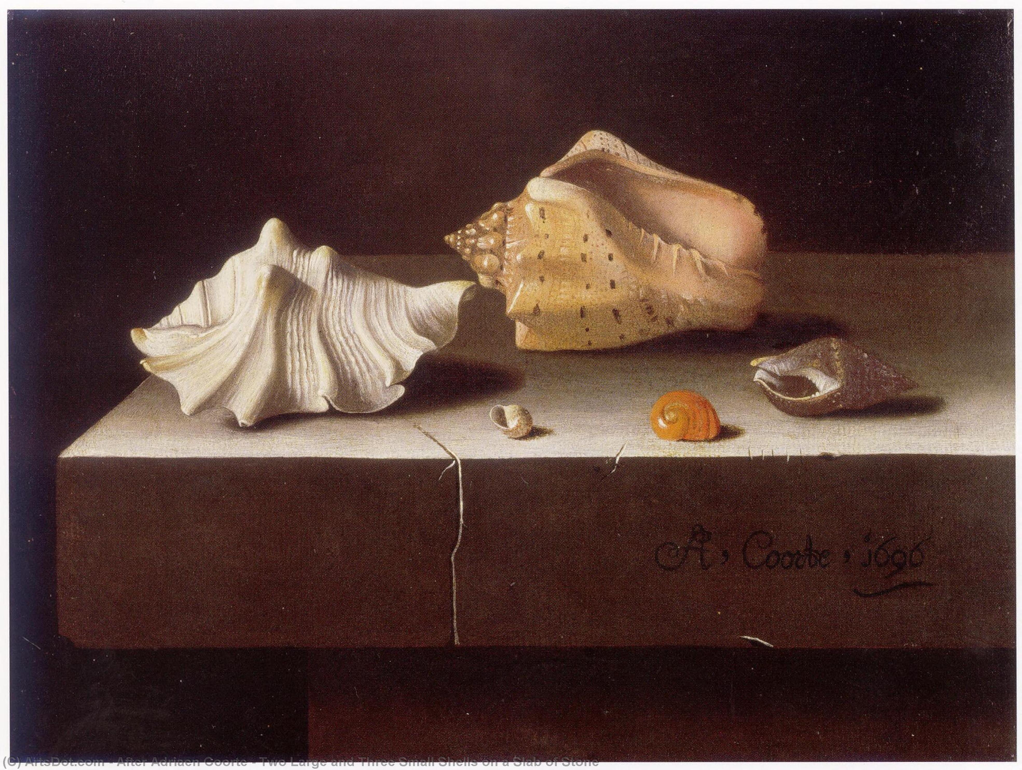 Order Oil Painting Replica Two Large and Three Small Shells on a Slab of Stone, 1696 by After Adriaen Coorte (1665-1707) | ArtsDot.com