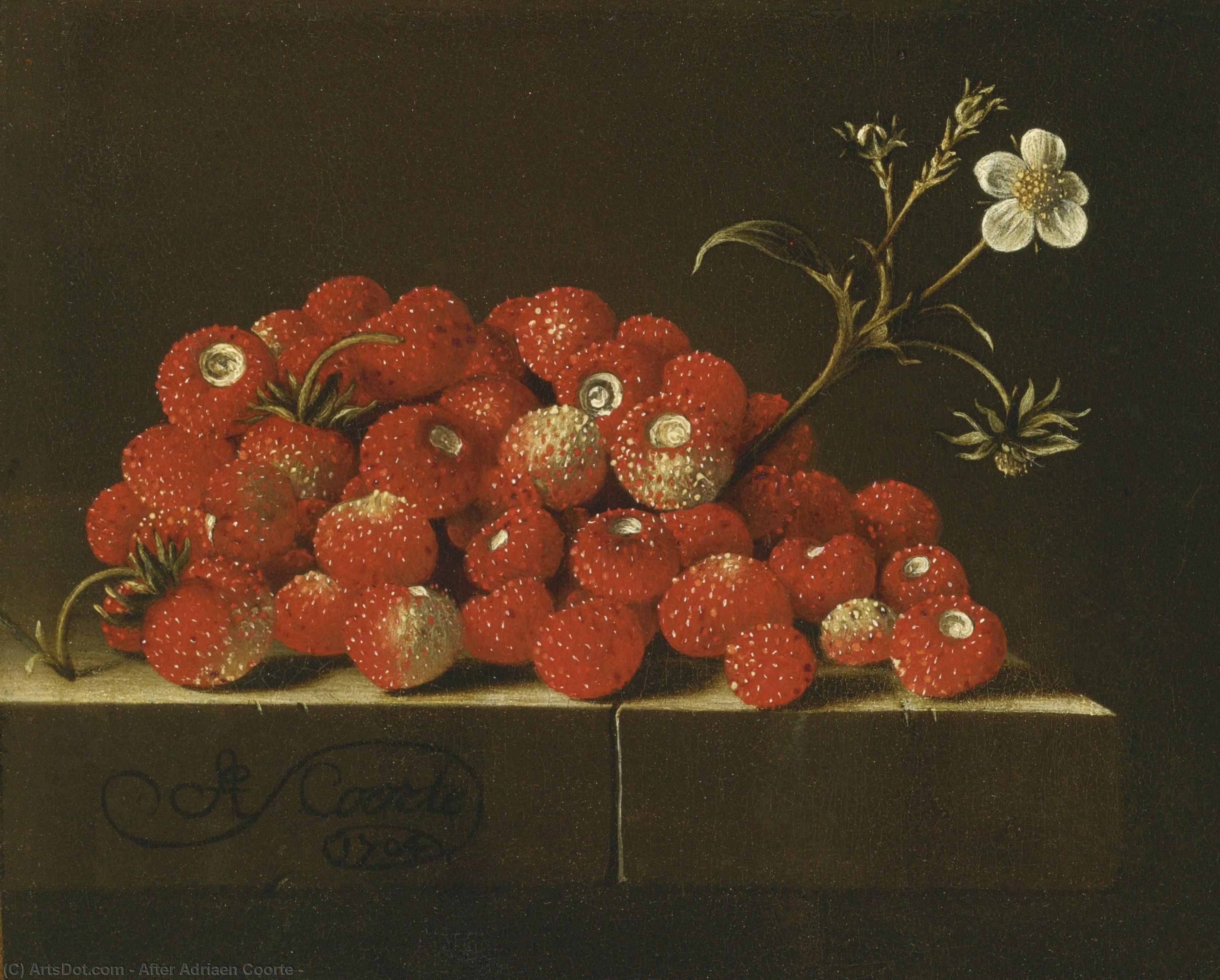 Order Paintings Reproductions , 1704 by After Adriaen Coorte (1665-1707) | ArtsDot.com