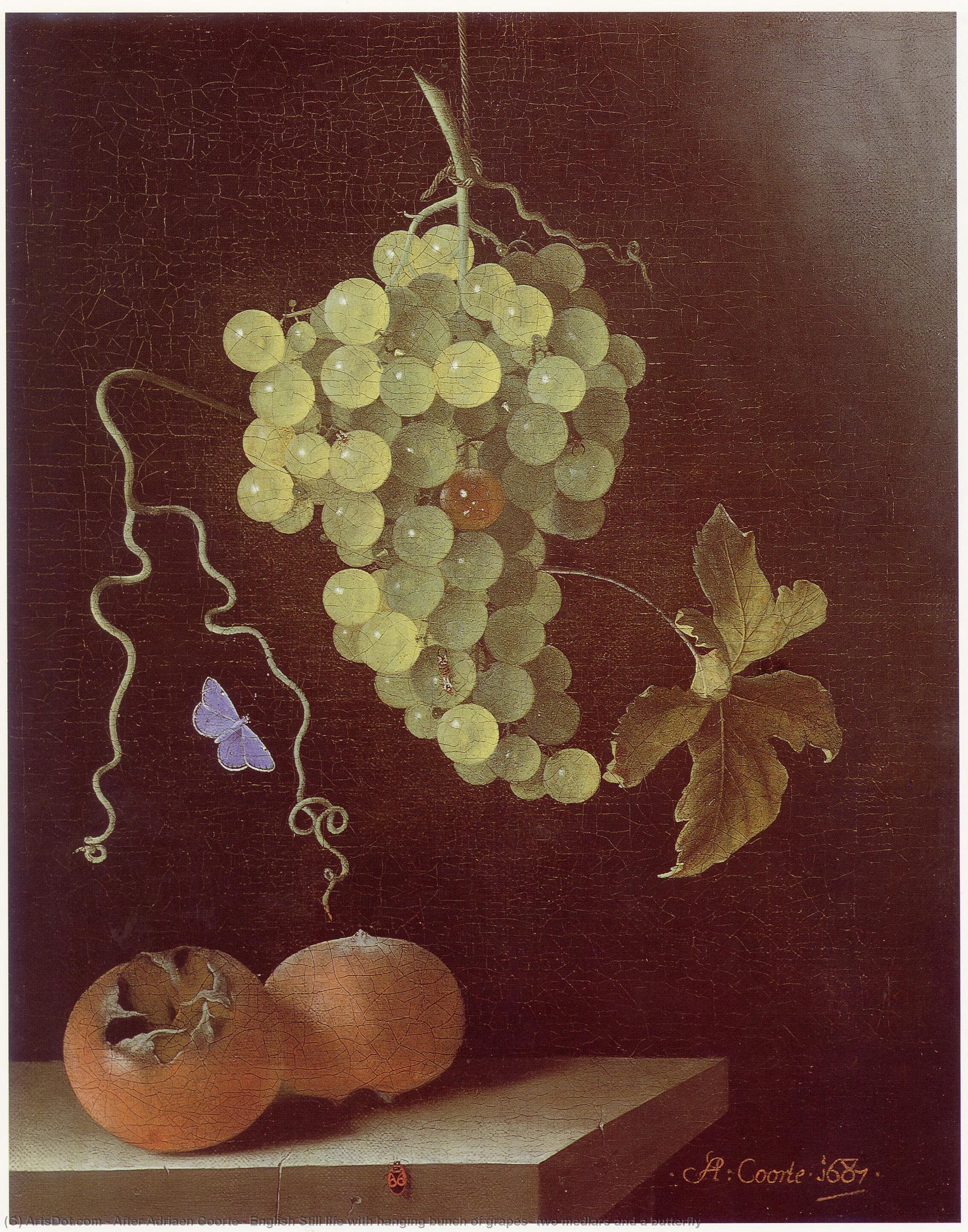 Order Paintings Reproductions English Still life with hanging bunch of grapes, two medlars and a butterfly, 1687 by After Adriaen Coorte (1665-1707) | ArtsDot.com