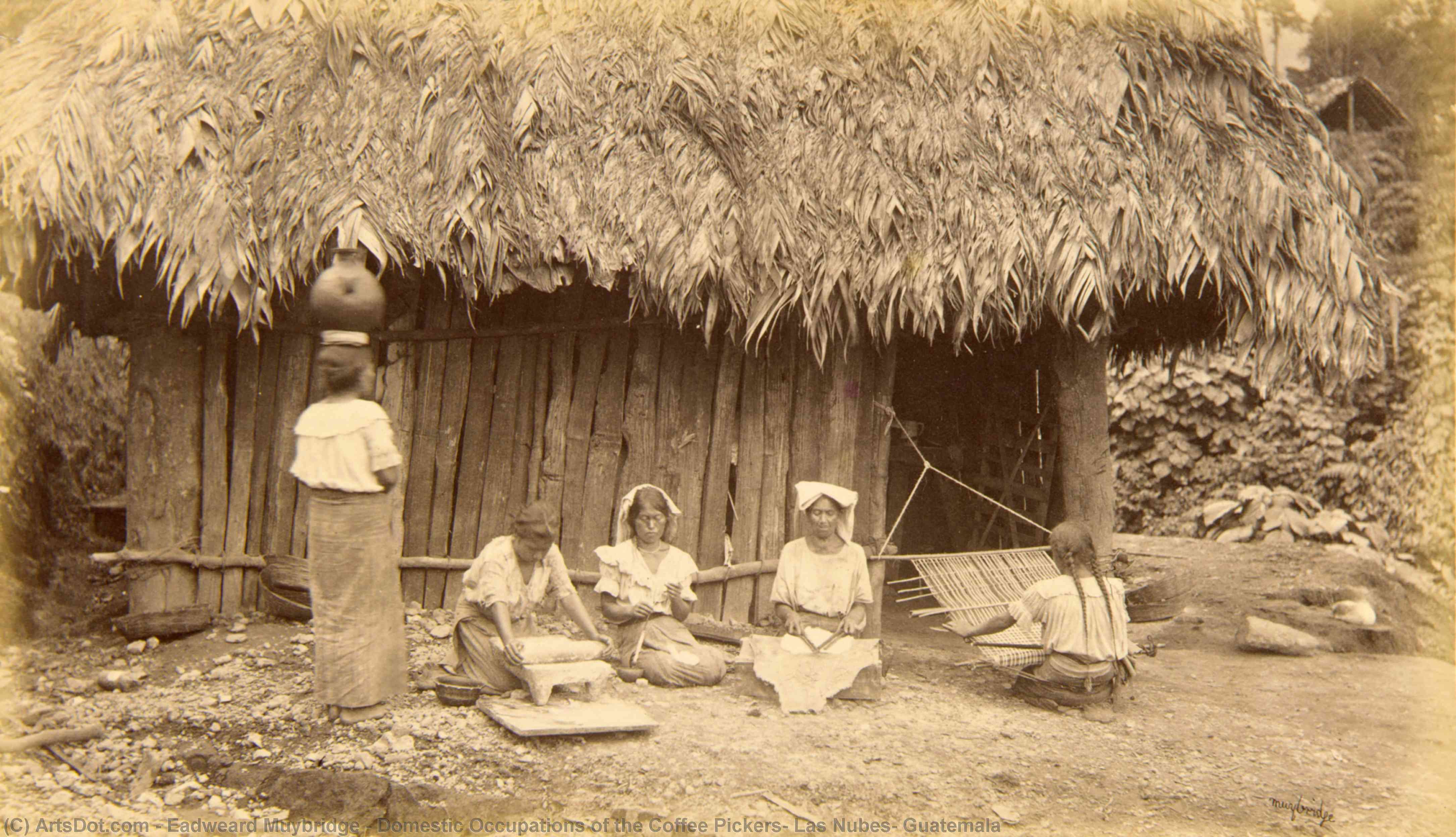 Order Art Reproductions Domestic Occupations of the Coffee Pickers, Las Nubes, Guatemala, 1877 by Eadweard Muybridge | ArtsDot.com