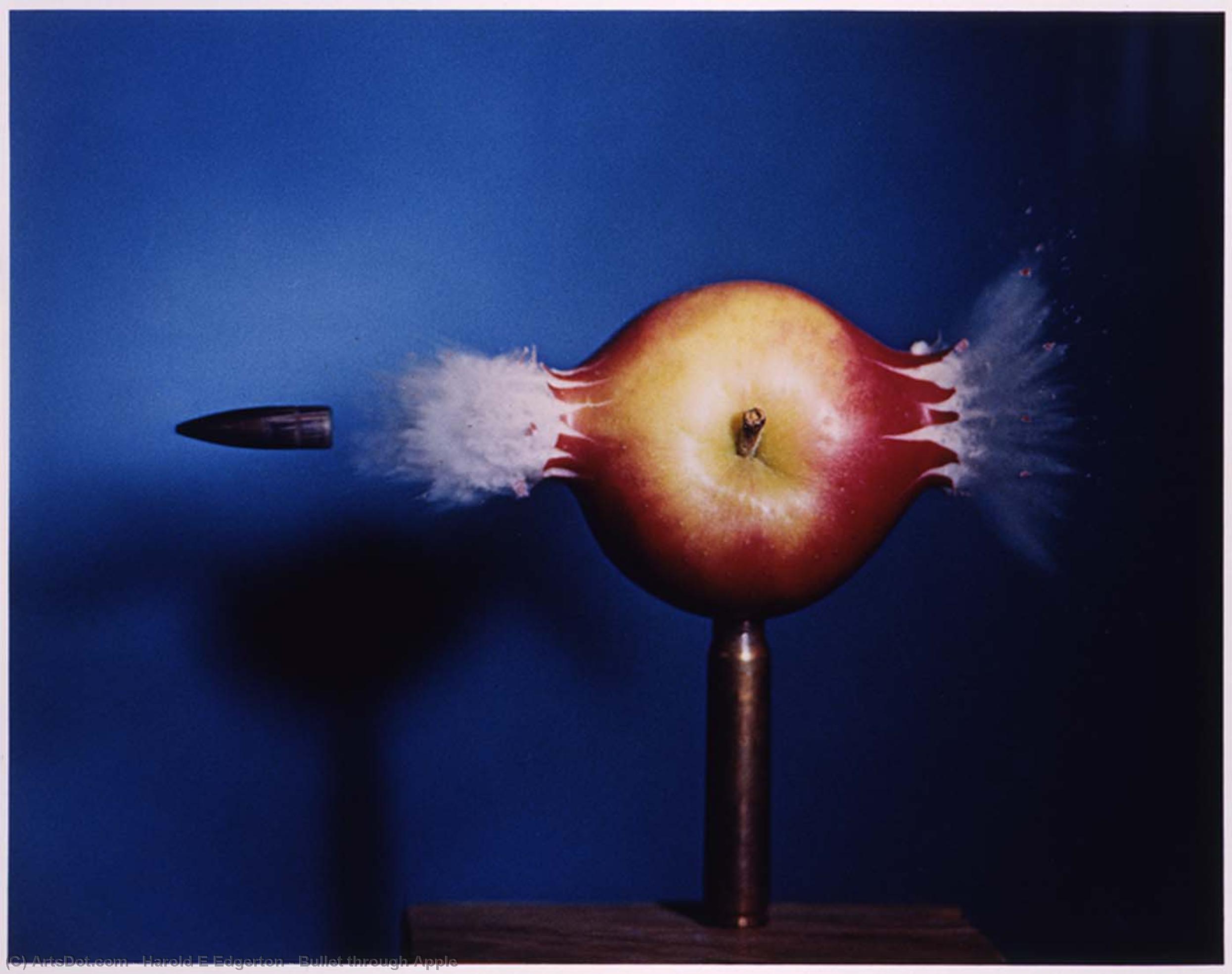 Bullet through Apple, 1984 by Harold E Edgerton (1903-1990) Harold E Edgerton | ArtsDot.com