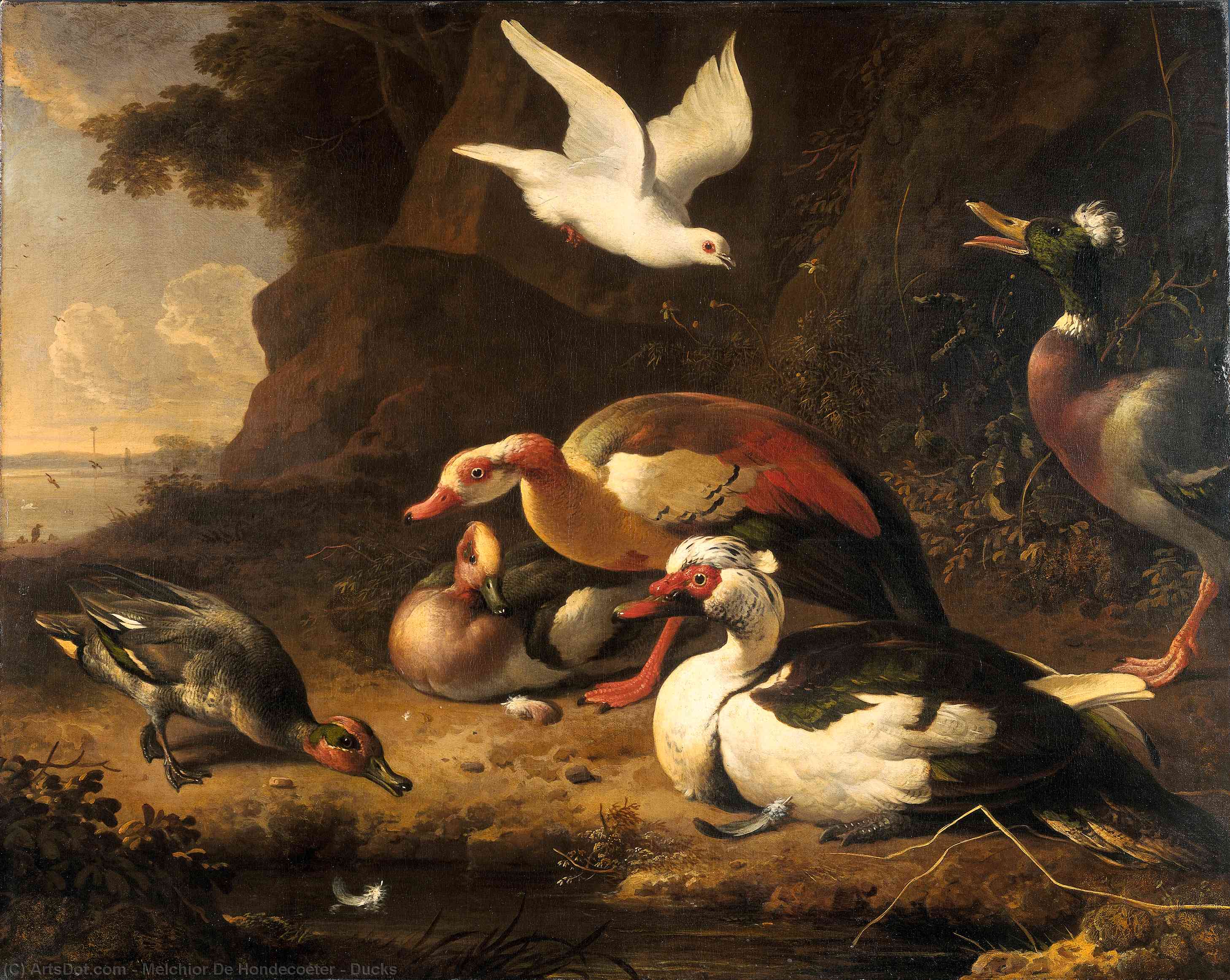 Buy Museum Art Reproductions Ducks, 1680 by Melchior De Hondecoeter | ArtsDot.com