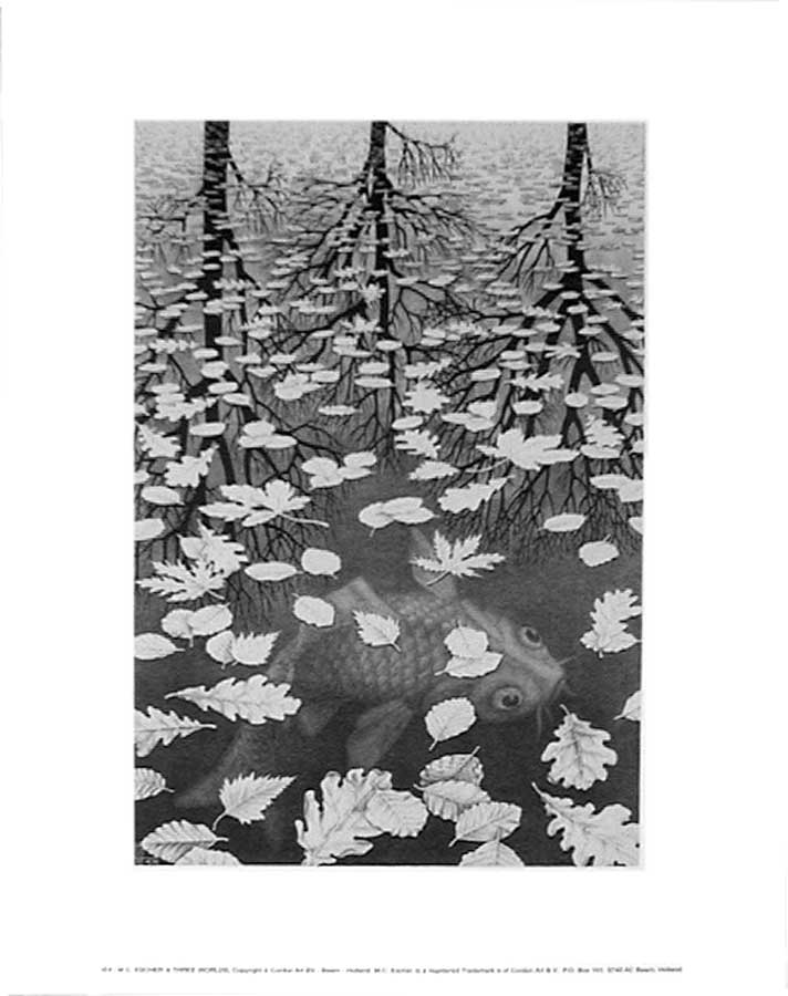 Buy Museum Art Reproductions Three Worlds, 1955 by Maurits Cornelis Escher (Inspired By) (1898-1972, Netherlands) | ArtsDot.com