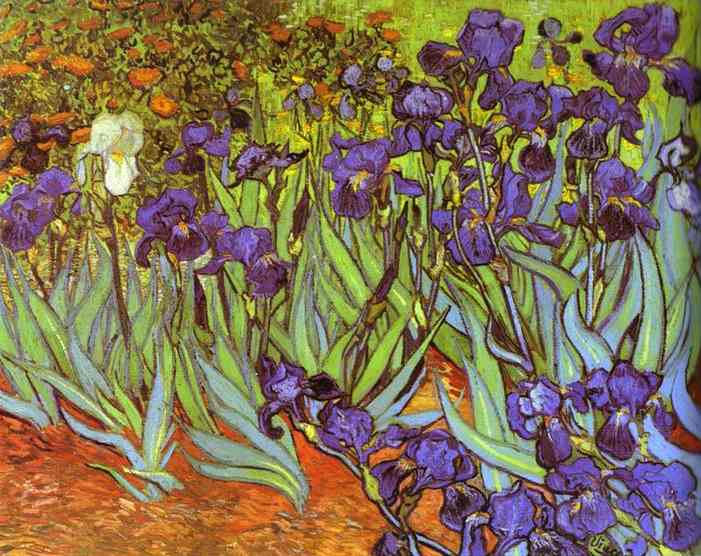 Buy Museum Art Reproductions Irises. Sait-Rémy by Vincent Van Gogh (1853-1890, Netherlands) | ArtsDot.com