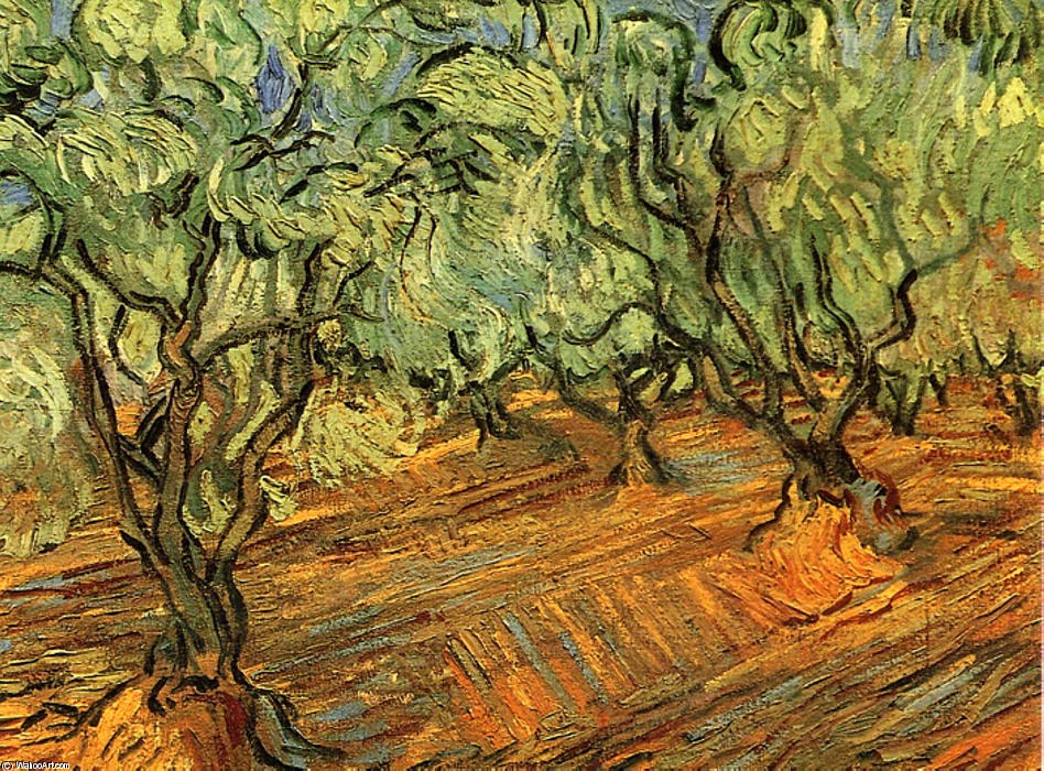 Buy Museum Art Reproductions Olive Grove - Bright Blue Sky, 1889 by Vincent Van Gogh (1853-1890, Netherlands) | ArtsDot.com