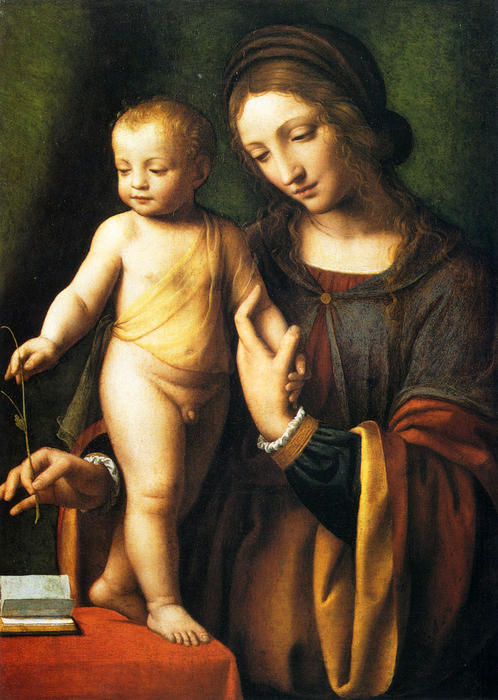 Buy Museum Art Reproductions The Virgin And Child With A Columbine by Bernardino Luini (1480-1532, Italy) | ArtsDot.com