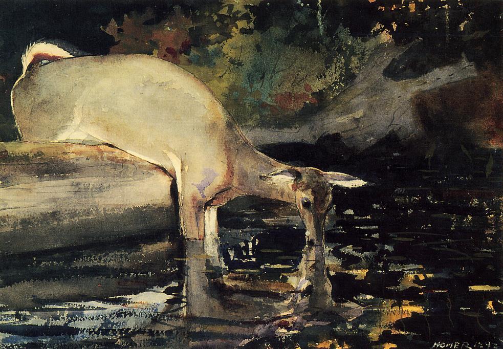 Order Paintings Reproductions Deer Drinking, 1892 by Winslow Homer (1836-1910, United States) | ArtsDot.com