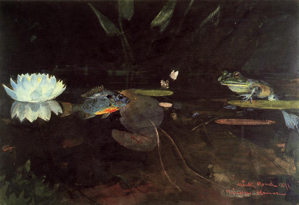Order Art Reproductions Mink Pond, 1891 by Winslow Homer (1836-1910, United States) | ArtsDot.com