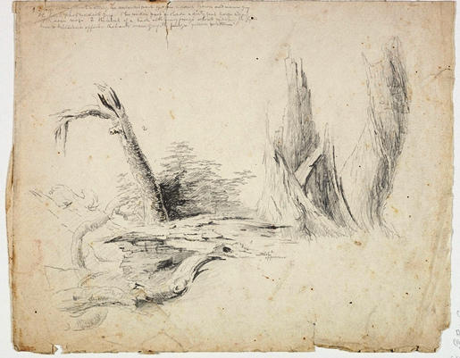 Buy Museum Art Reproductions Decaying Tree Trunks by Thomas Cole (1801-1848, United Kingdom) | ArtsDot.com