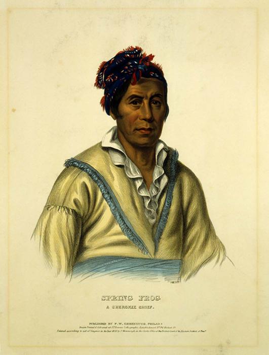 Order Oil Painting Replica SPRING FROG. A CHEROKEE CHIEF by Charles Bird King (1785-1862, United States) | ArtsDot.com