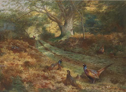 Order Paintings Reproductions The Bridle Path by Archibald Thorburn (1860-1935, United Kingdom) | ArtsDot.com