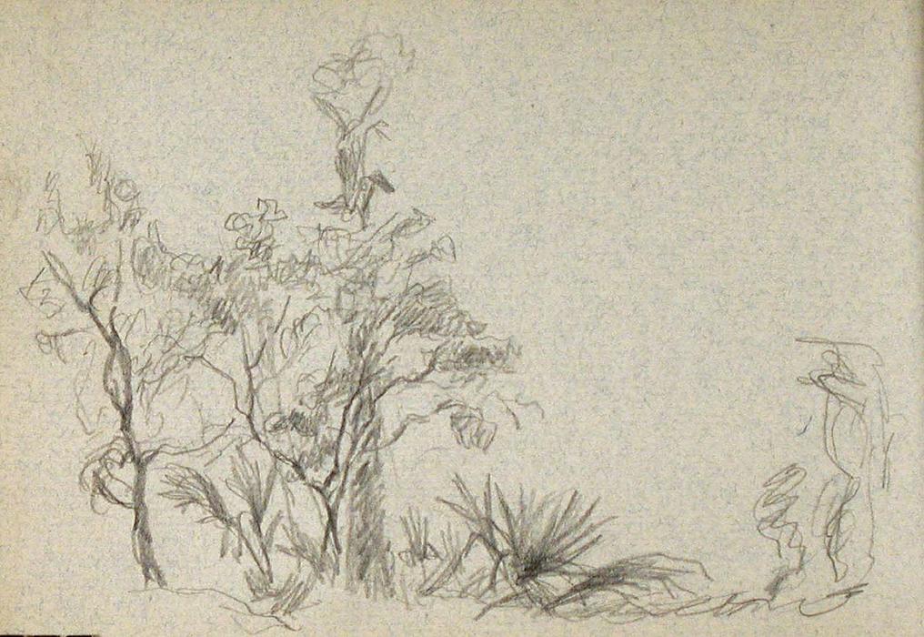 Buy Museum Art Reproductions Trees and Palms by John Ottis Adams (1851-1927, United States) | ArtsDot.com