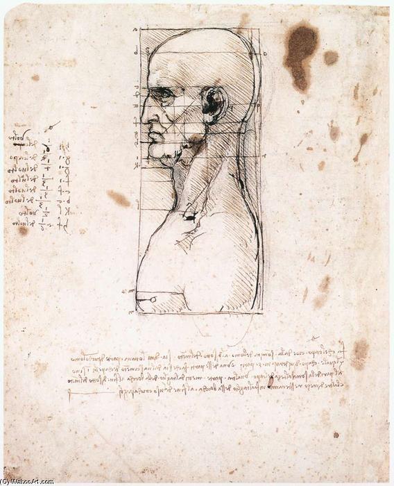 Order Art Reproductions Male head in profile with proportions, 1490 by Leonardo Da Vinci (1452-1519, Italy) | ArtsDot.com