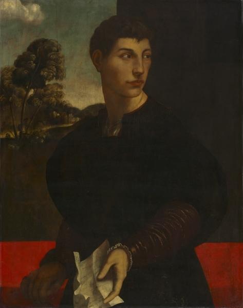 Order Art Reproductions Portrait of a Young Man by Dosso Dossi (Giovanni Di Niccolò De Luteri) (1486-1542, Italy) | ArtsDot.com