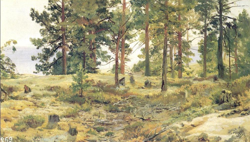 Order Paintings Reproductions On sandy ground by Ivan Ivanovich Shishkin (1832-1898, Russia) | ArtsDot.com