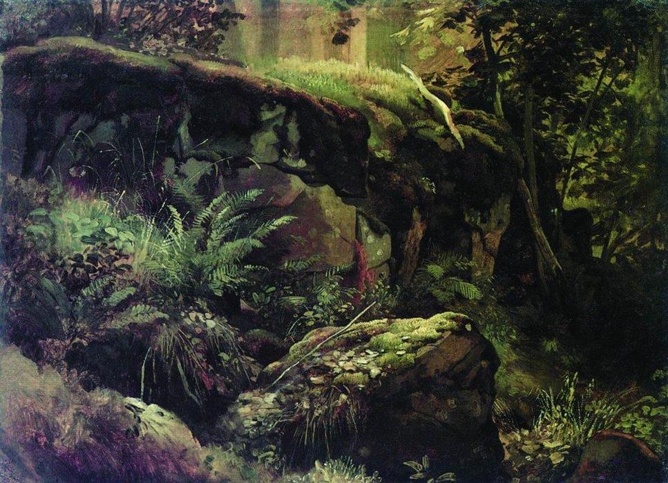 Order Paintings Reproductions Stones in the forest. Valaam, 1860 by Ivan Ivanovich Shishkin (1832-1898, Russia) | ArtsDot.com